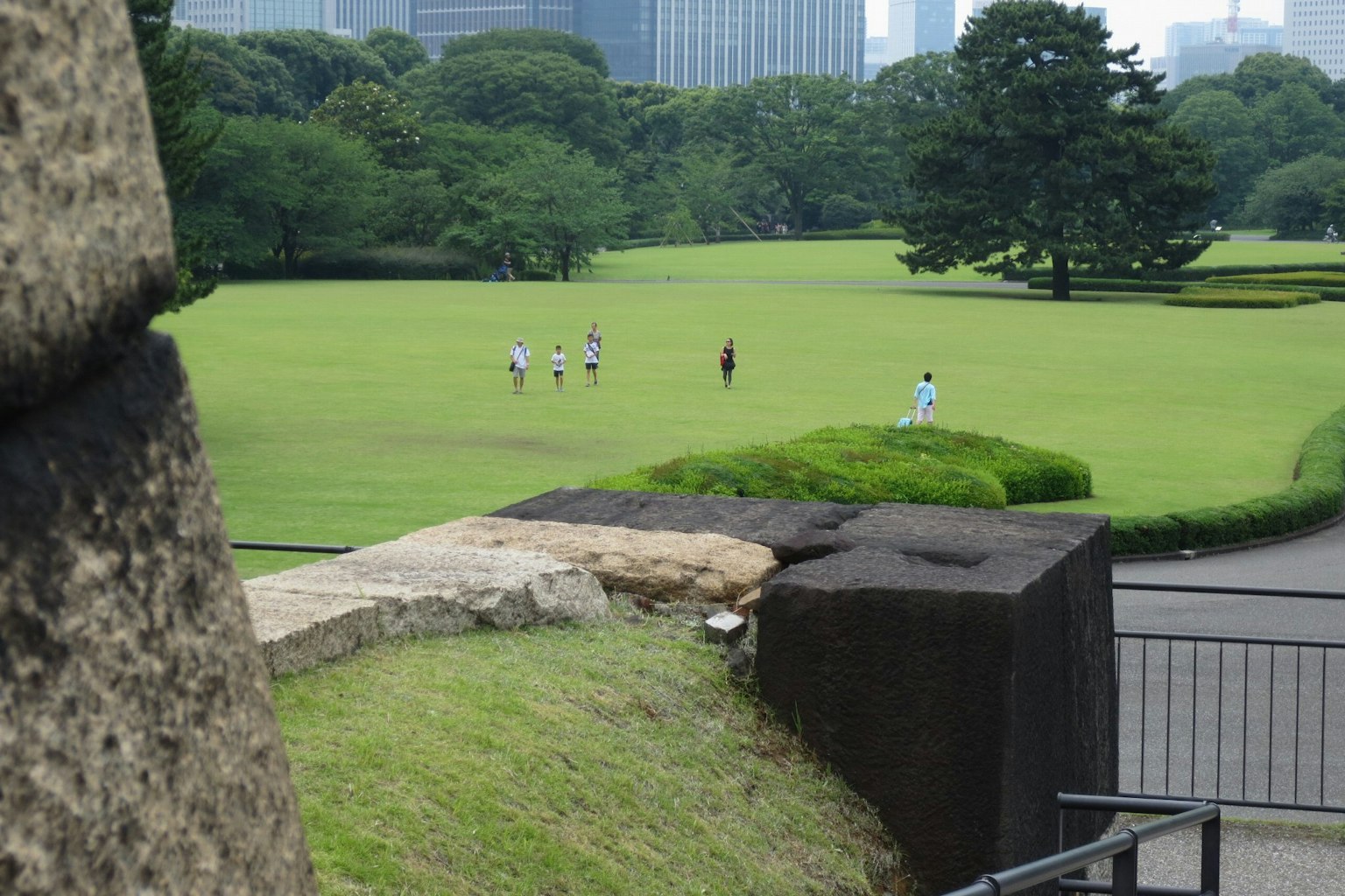 Pemandangan taman dengan rumput hijau dan gedung pencakar langit di latar belakang