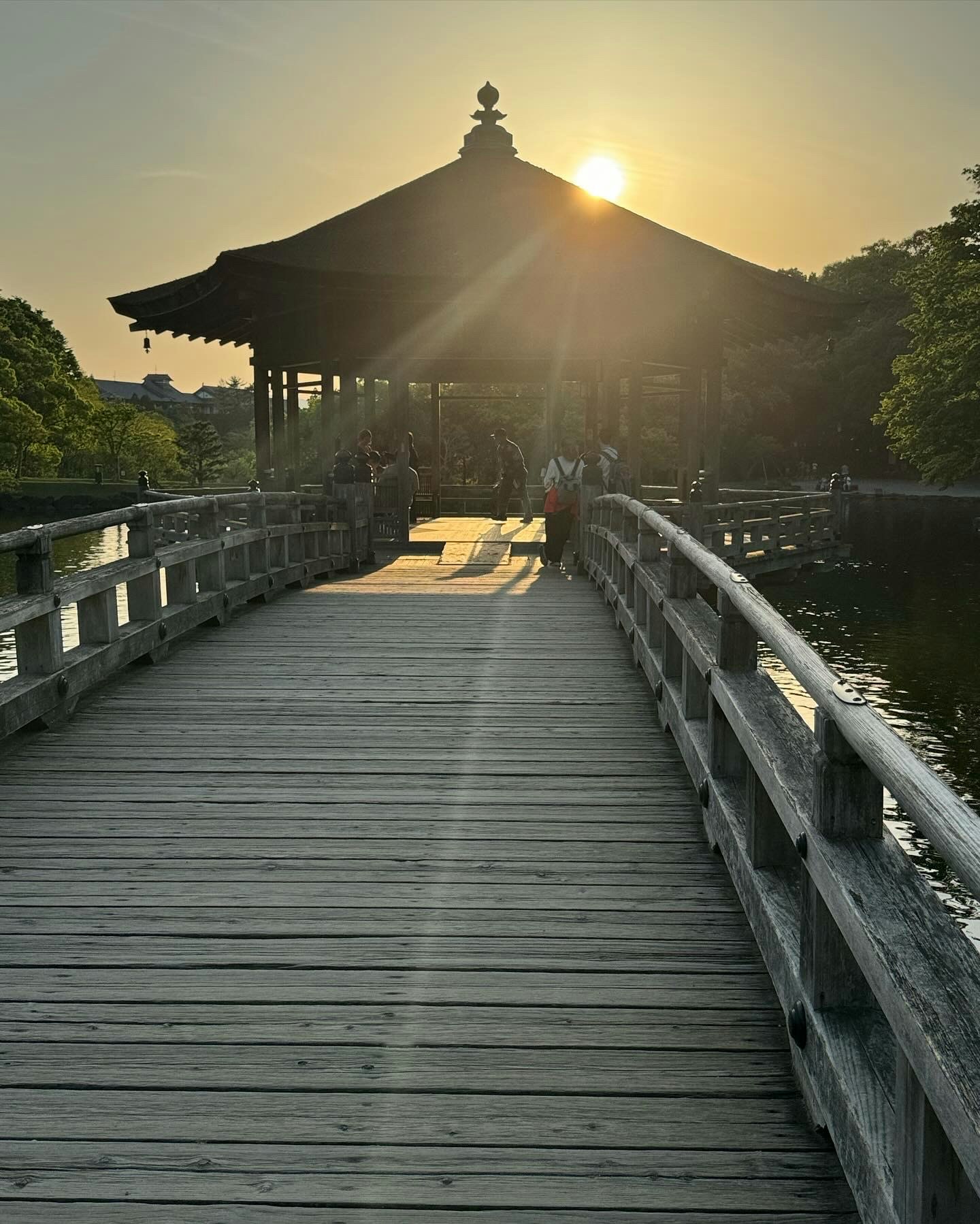 Pasarela de madera del Ukimi-dō iluminada por el atardecer