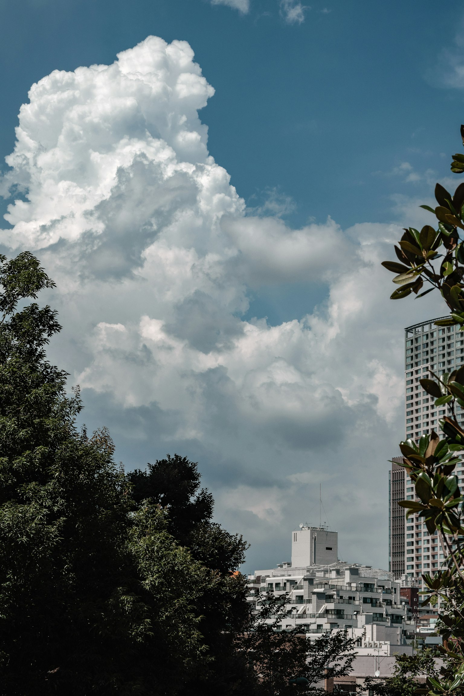 Awan besar mengapung di langit biru dengan pemandangan perkotaan