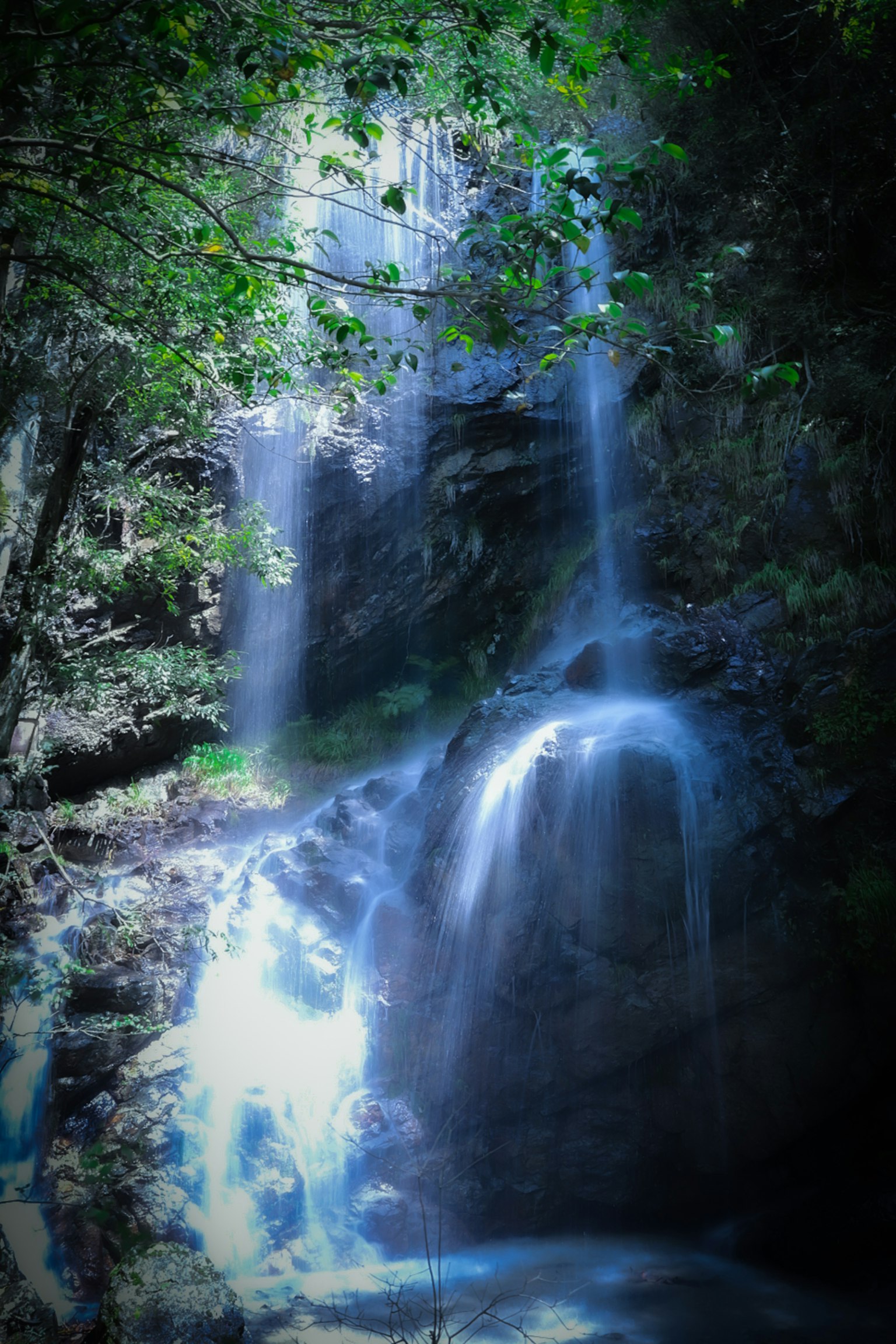 A blue waterfall cascading down amidst lush green foliage