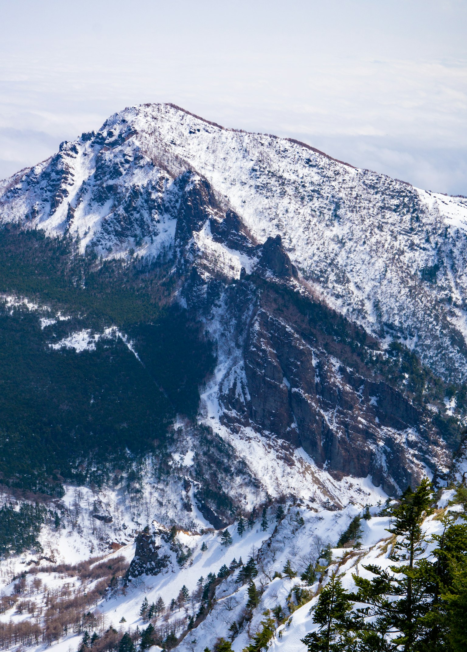 Snow-covered mountain landscape with green forest