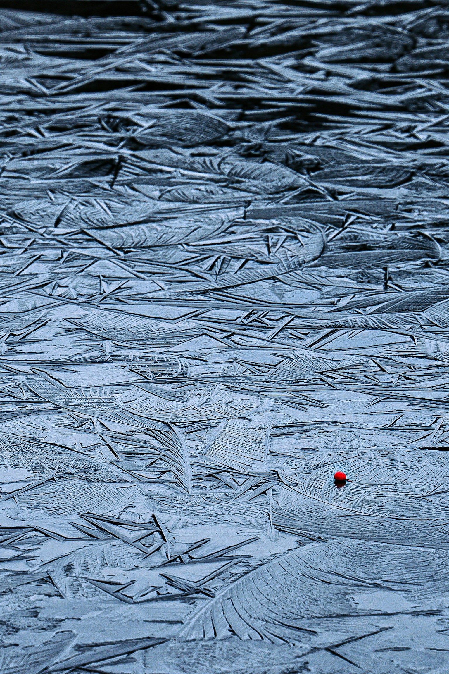 Superficie d'acqua fredda con schemi di ghiaccio e un punto rosso