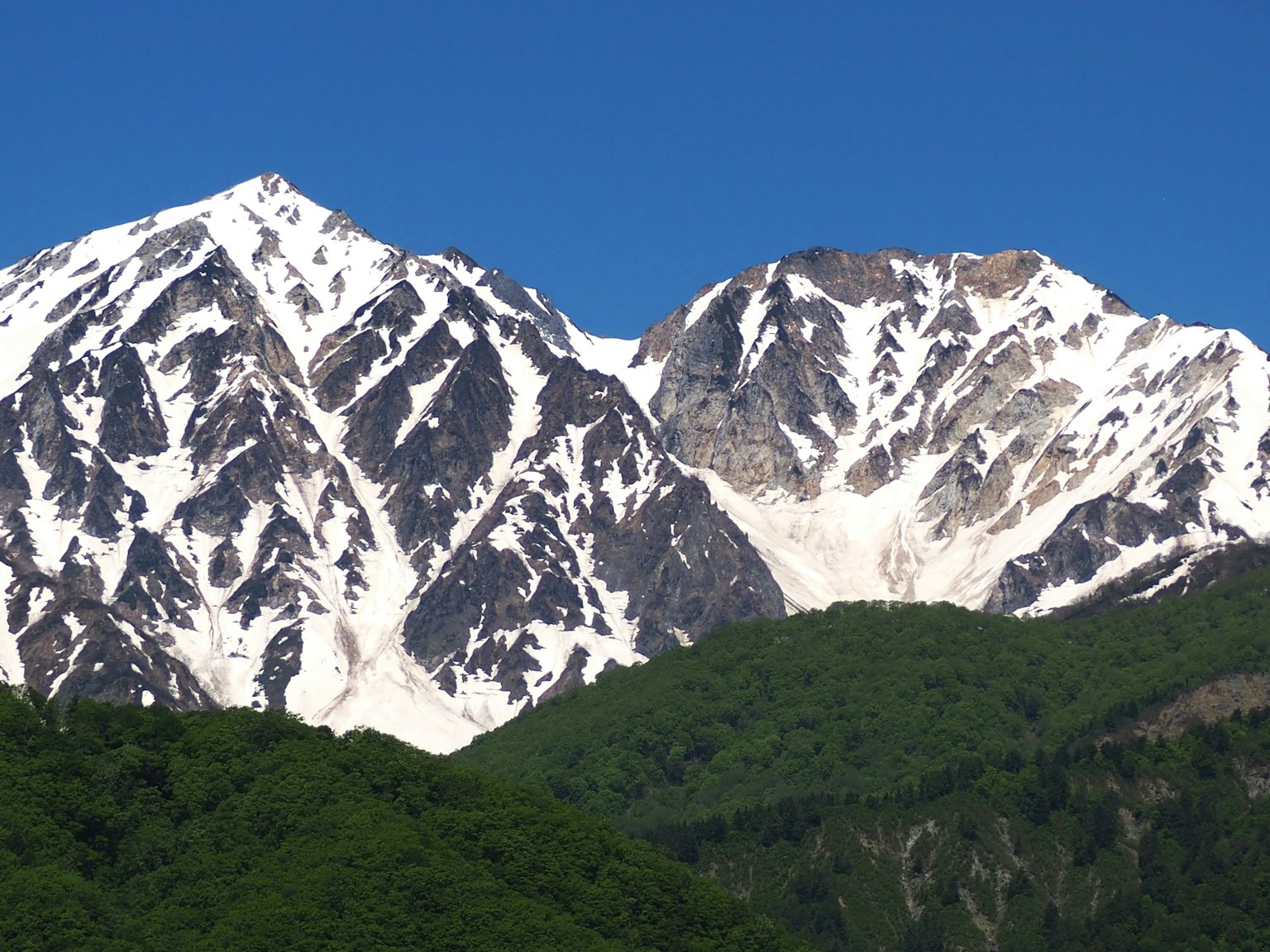 Montagnes enneigées avec des forêts verdoyantes en dessous