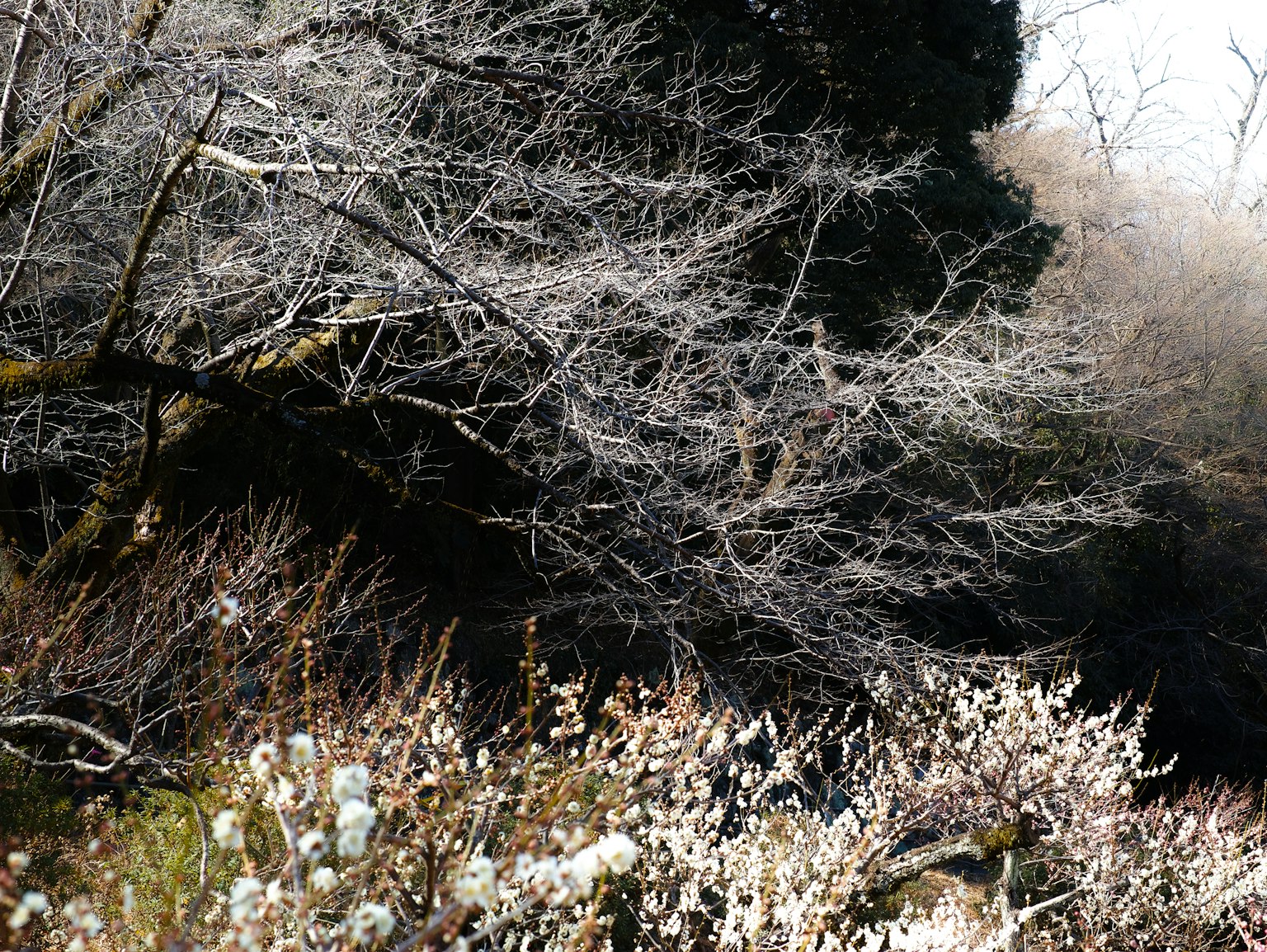 photo-U1Uk18c9ca9S0zhmE5m6-image
