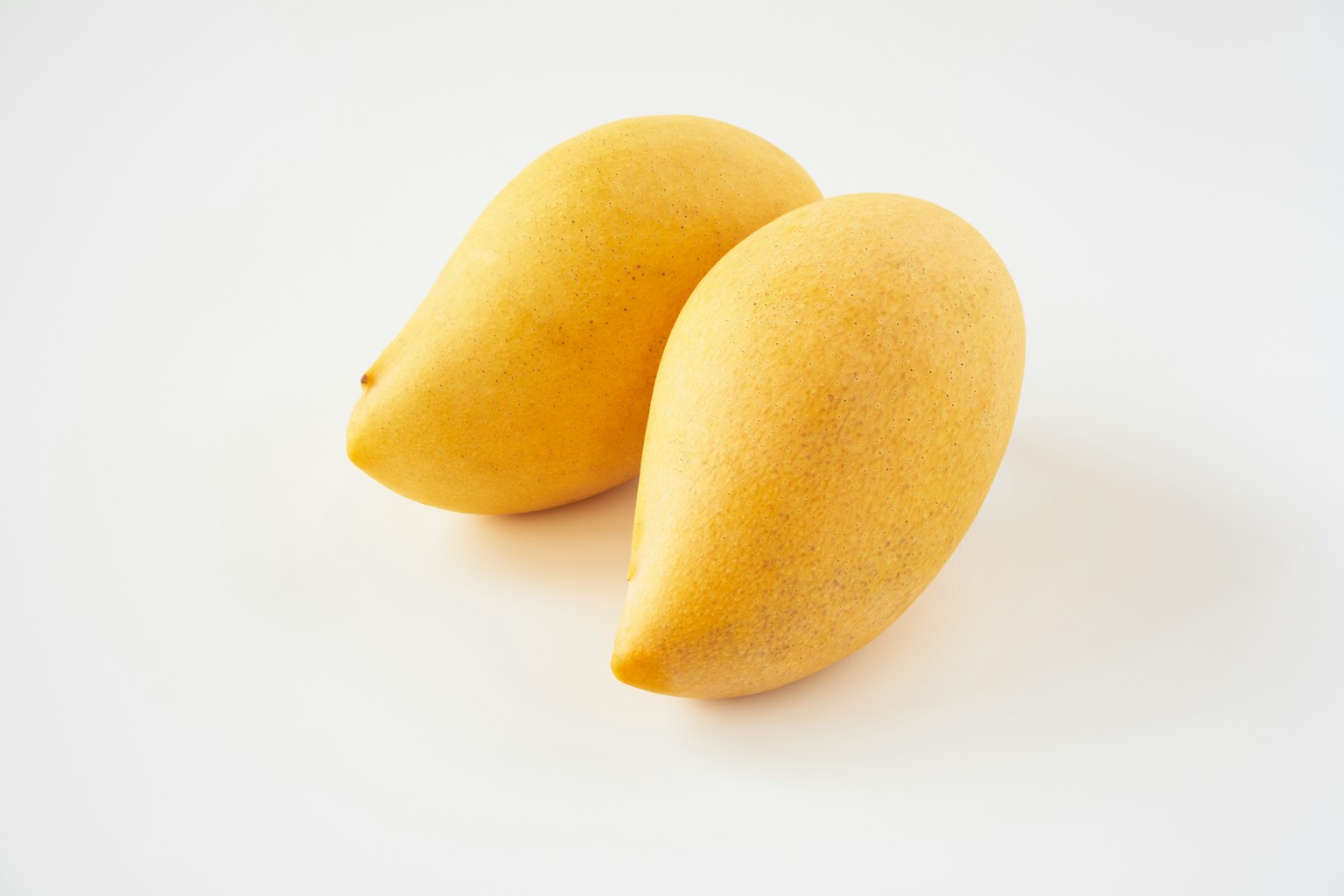Due mango maturi sono posati su uno sfondo bianco