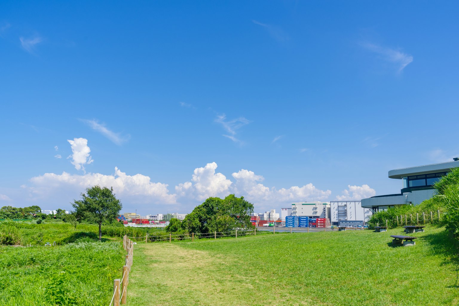 ทุ่งหญ้าสีเขียวใต้ท้องฟ้าสีฟ้าสดใสพร้อมอาคารในพื้นหลัง