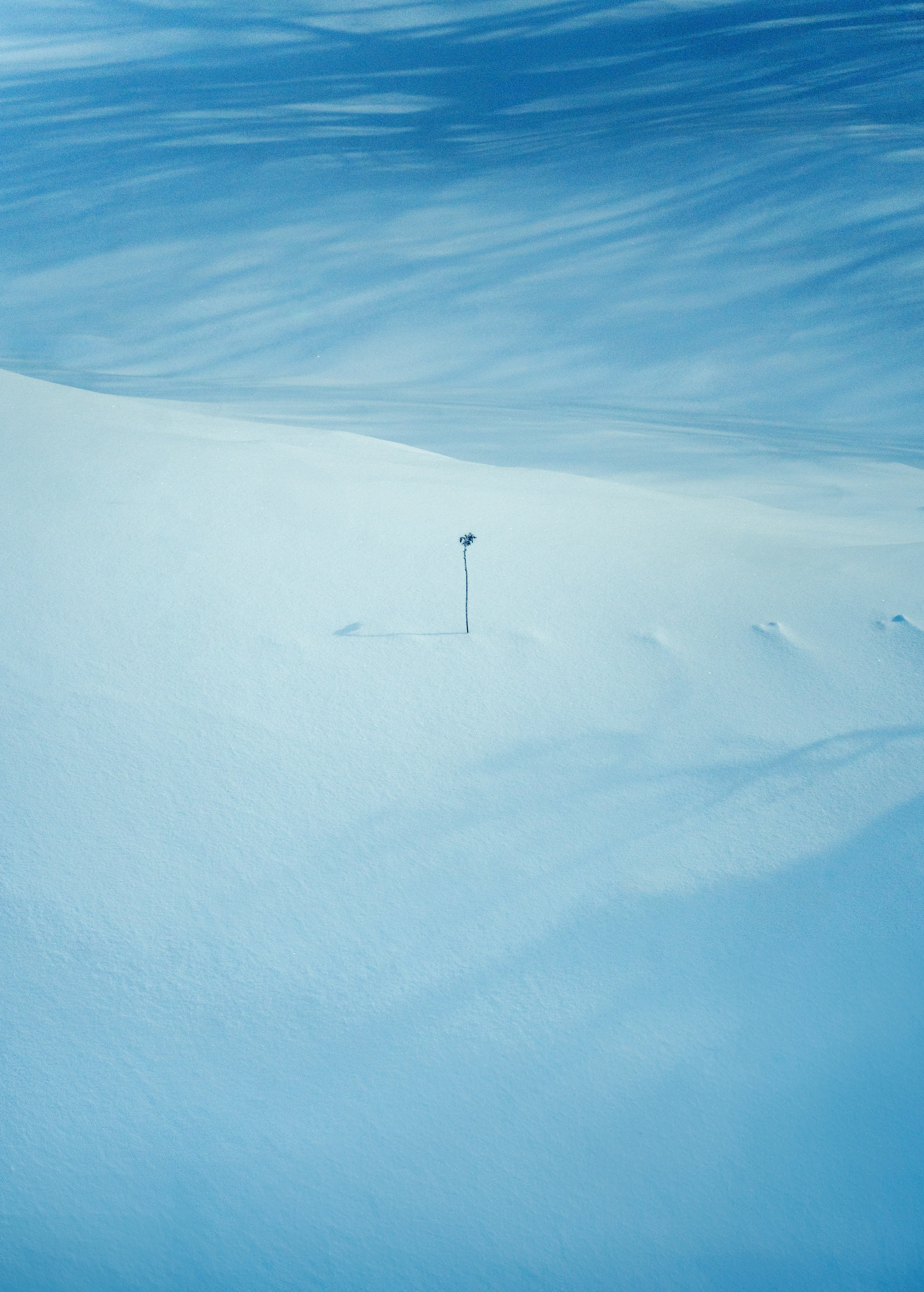 雪原に伸びる広い空と地平線の風景