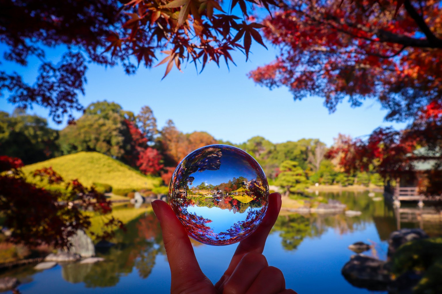 Una bola de cristal sostenida en la mano que refleja un paisaje otoñal del parque