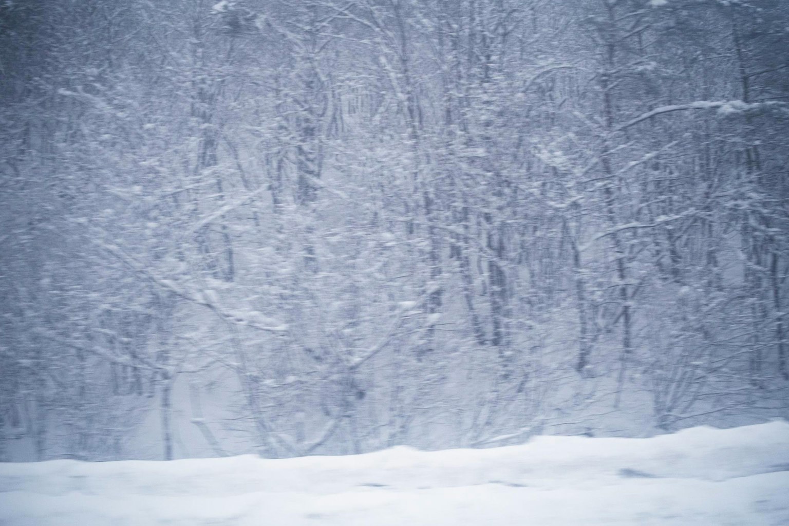 Paesaggio invernale con alberi coperti di neve