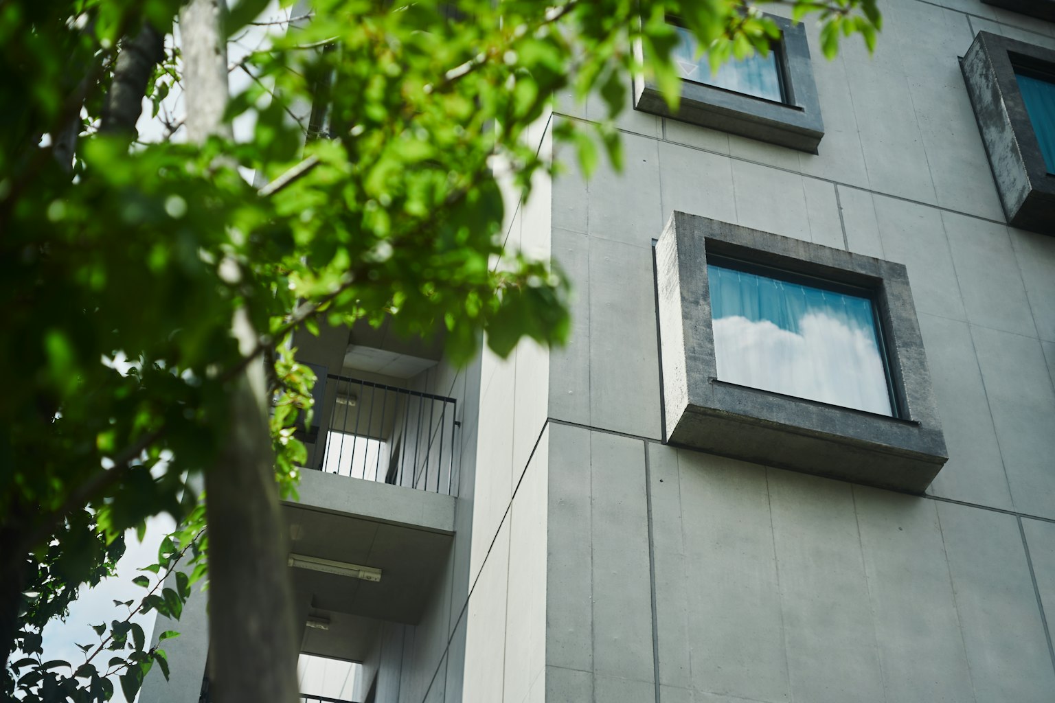 混凝土建筑现代窗户和绿色叶子