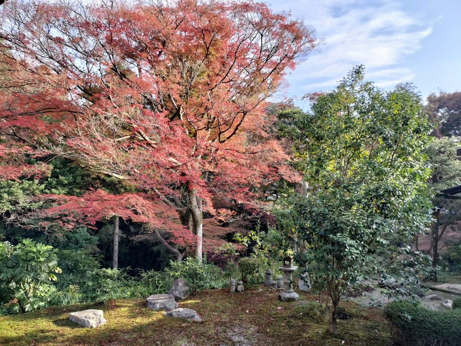 Scenic garden view featuring vibrant autumn foliage and lush greenery