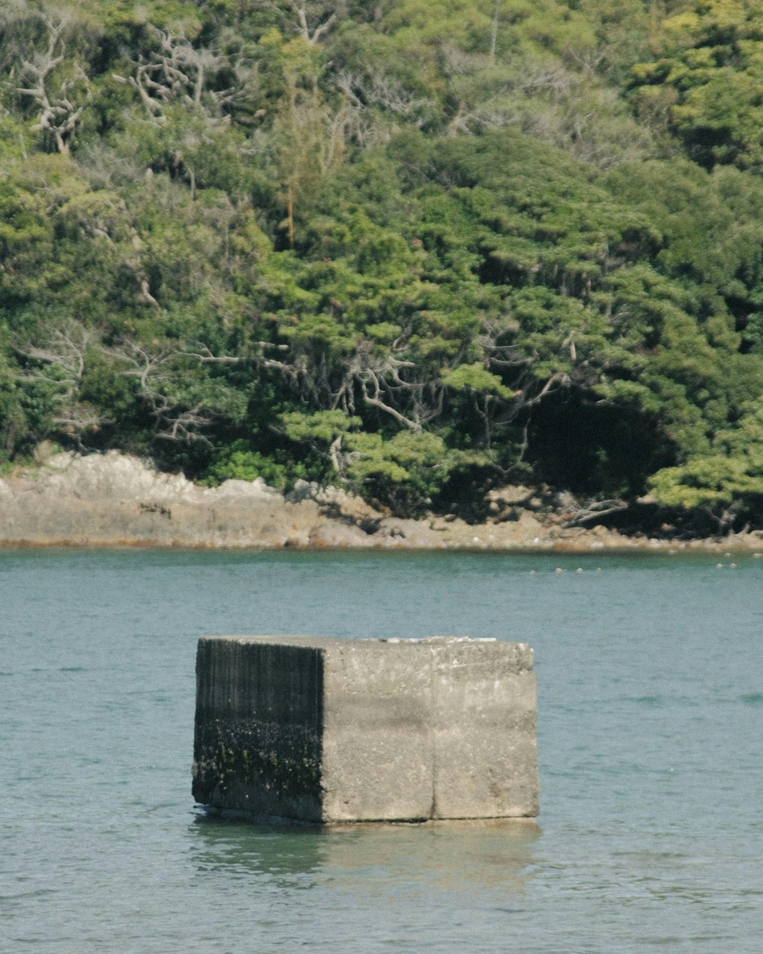 Cubo di cemento che galleggia sull'acqua circondato da alberi verdi