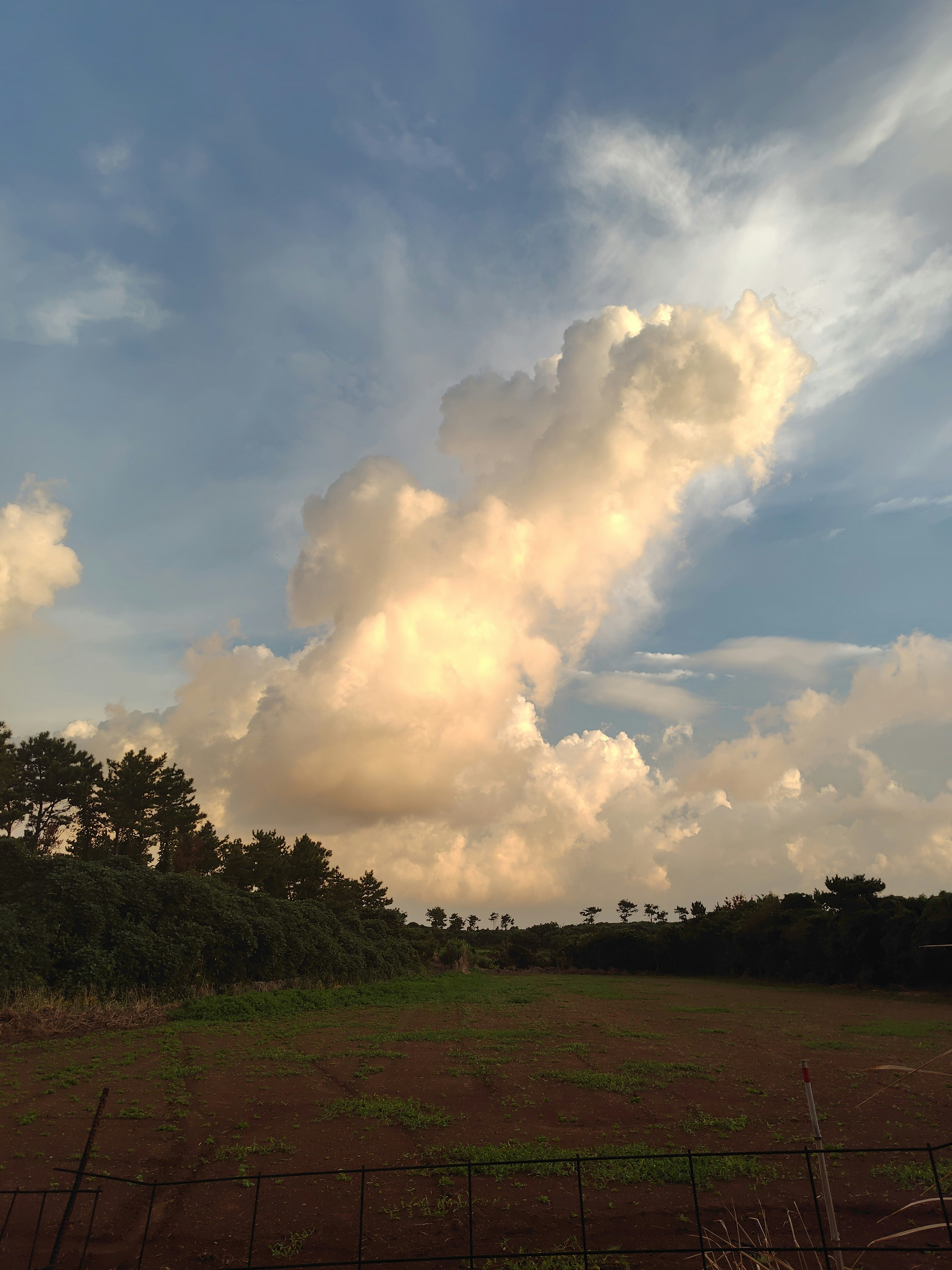 hamparan ladang dengan awan kumulus menjulang