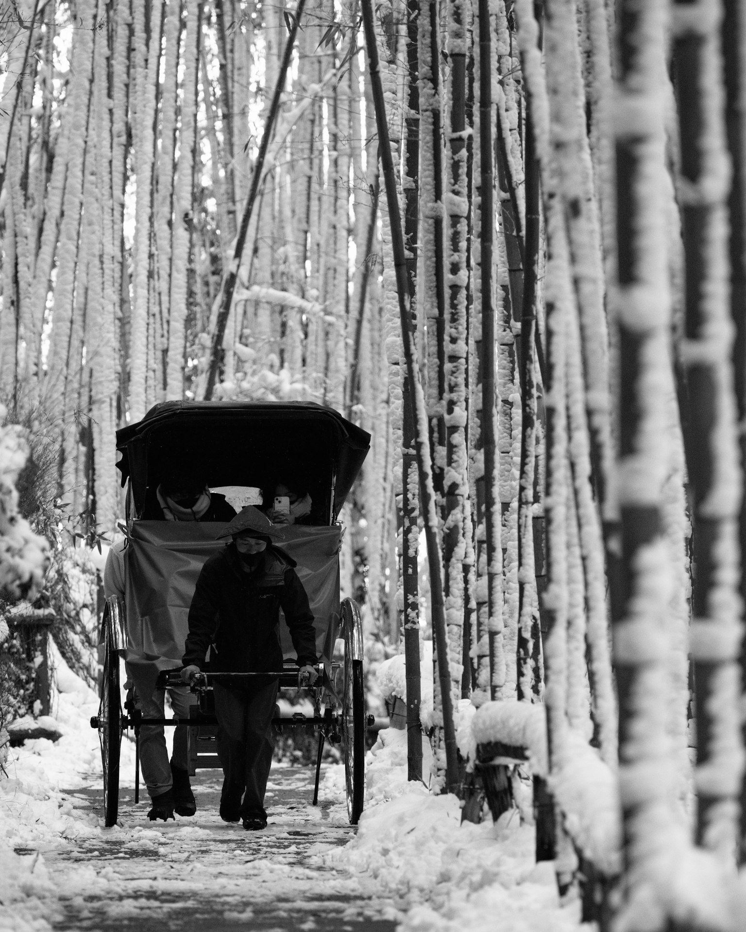 雪覆盖的竹林中行驶的人力车和司机