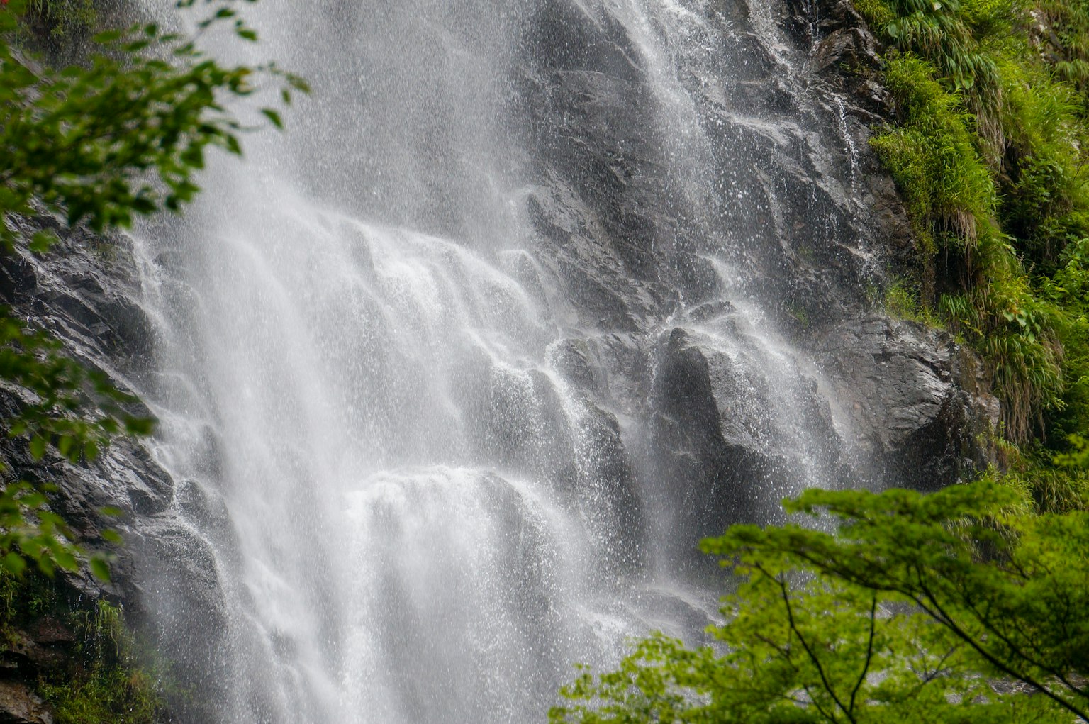 Gros plan d'une cascade avec des éclaboussures d'eau et des plantes vertes luxuriantes