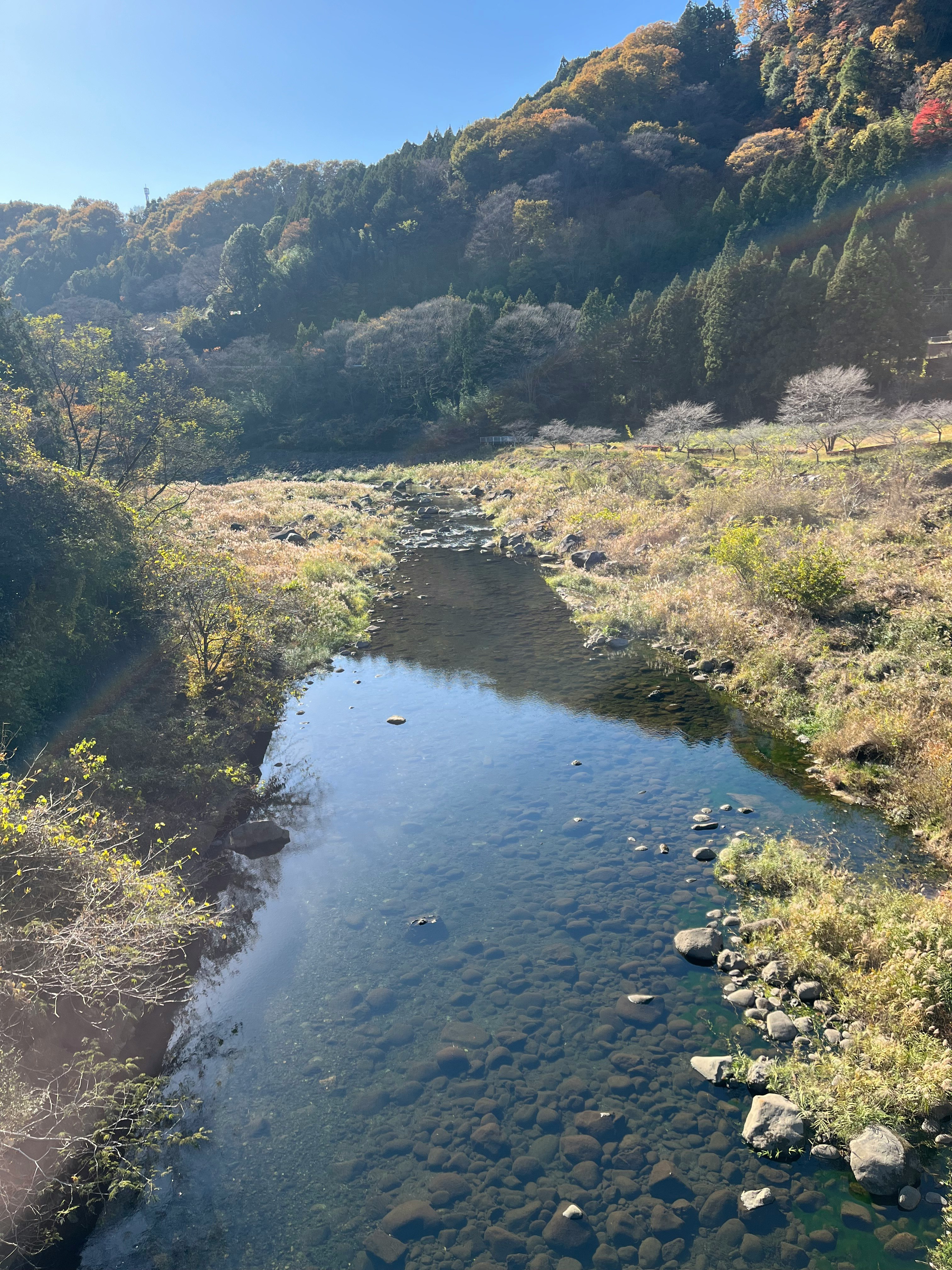 渓流と川辺の岩、山の斜面が広がる自然風景