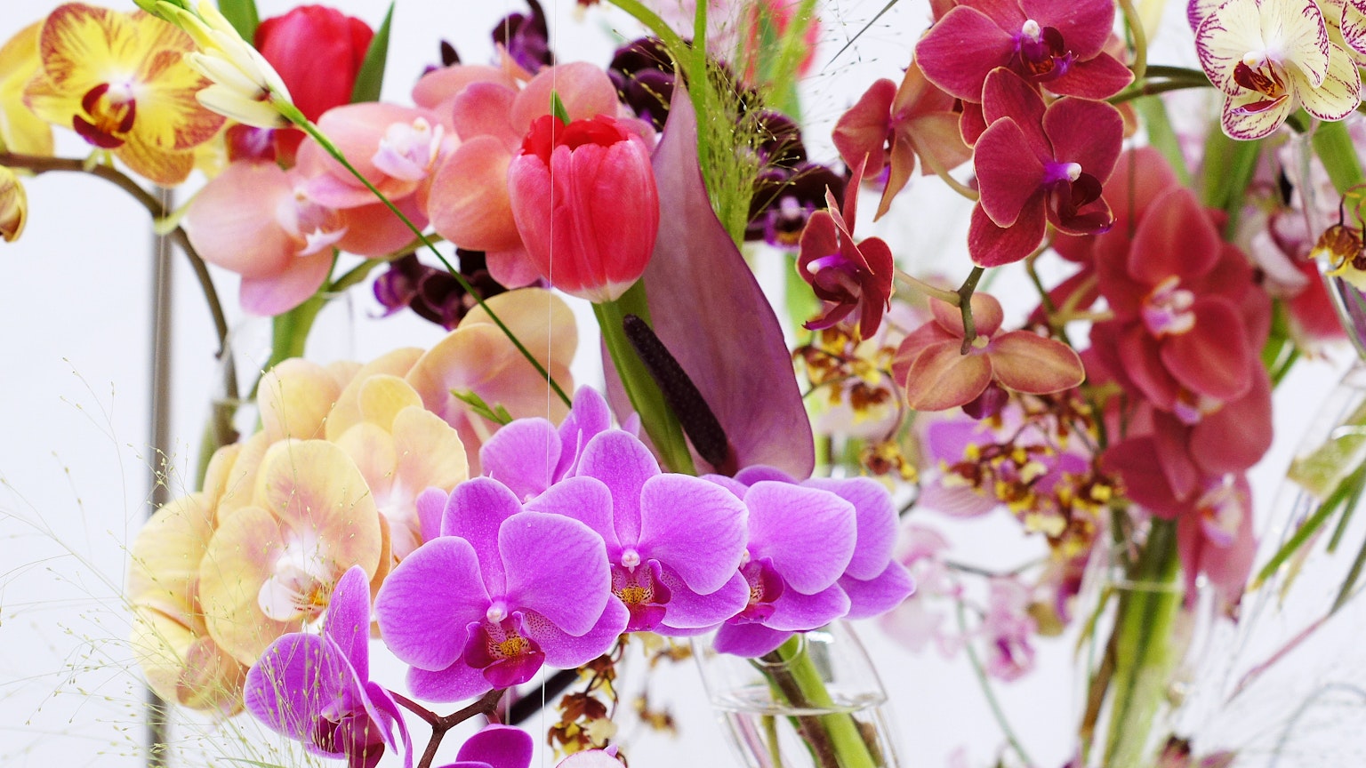 Un bel arrangement de fleurs aux couleurs vives