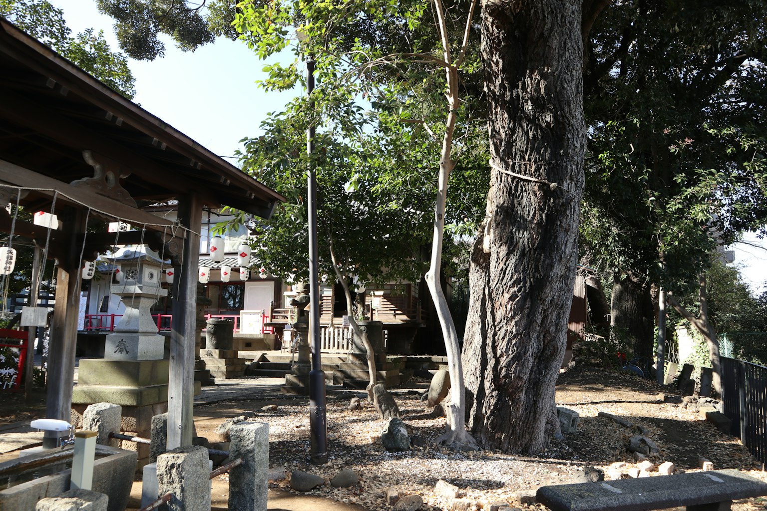 Landscape featuring a large tree and stone grave markers at a shrine