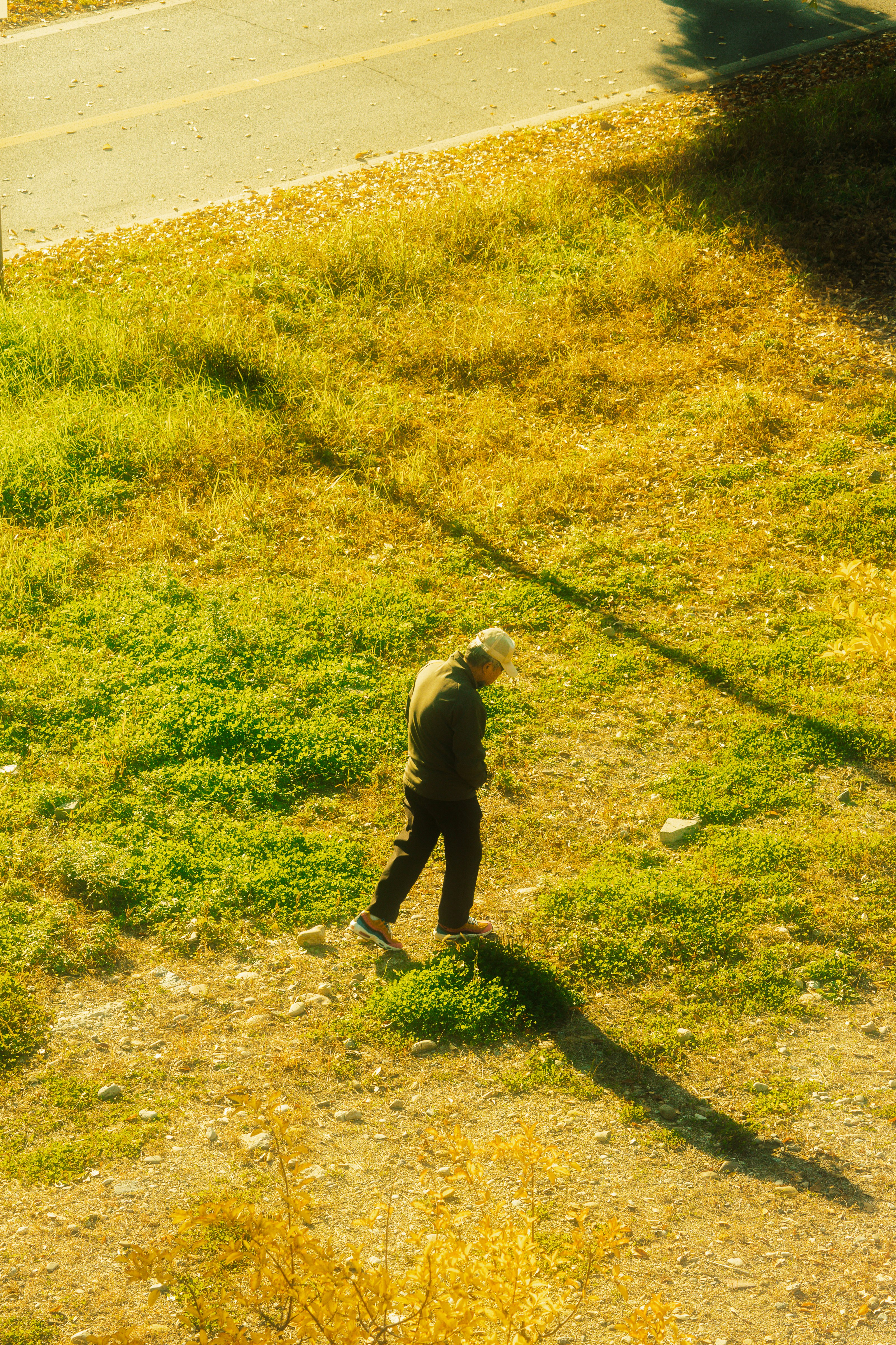 photo-U5iMf04AqxcUPKoa6xZd-image