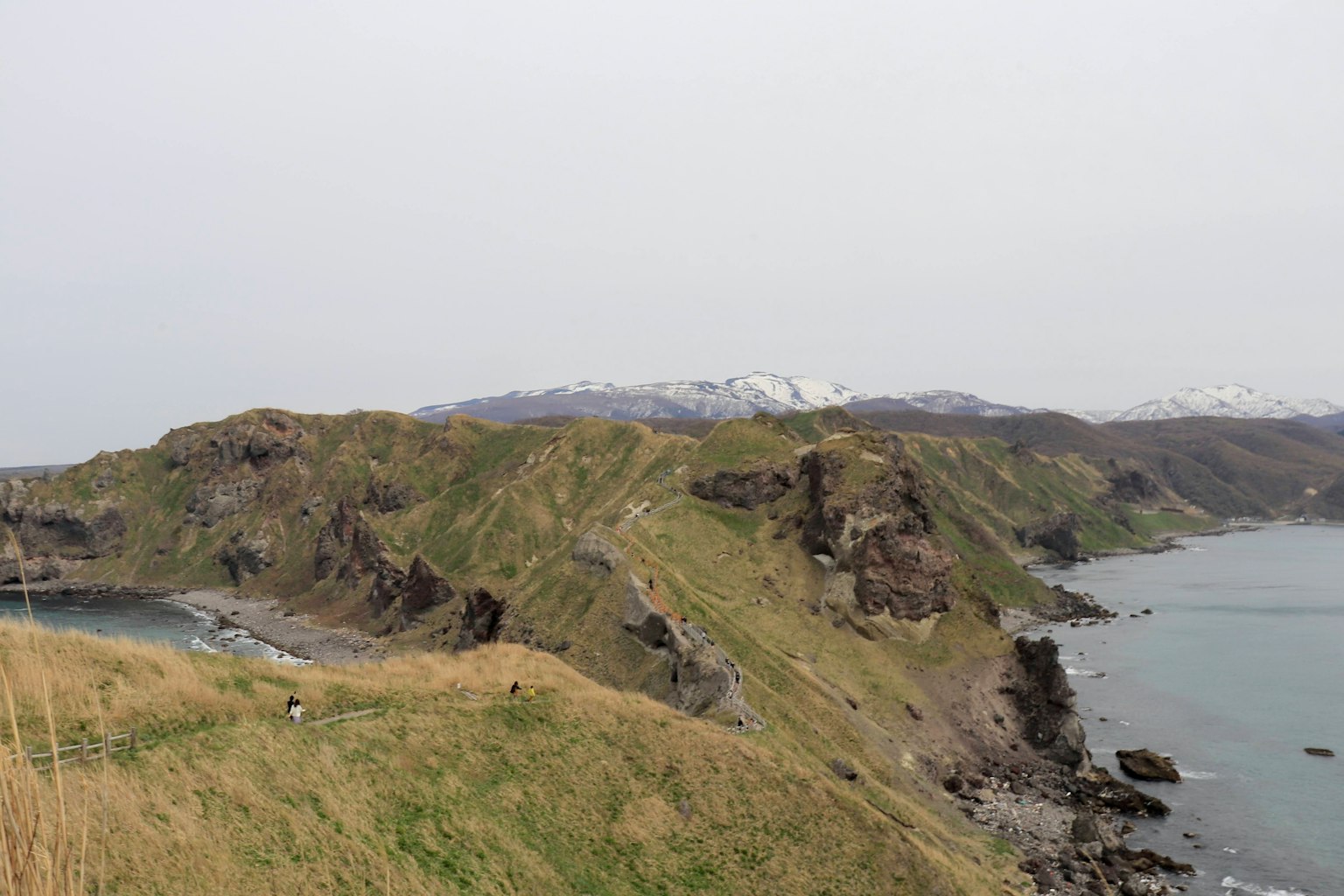Paysage côtier avec des collines verdoyantes et une côte rocheuse