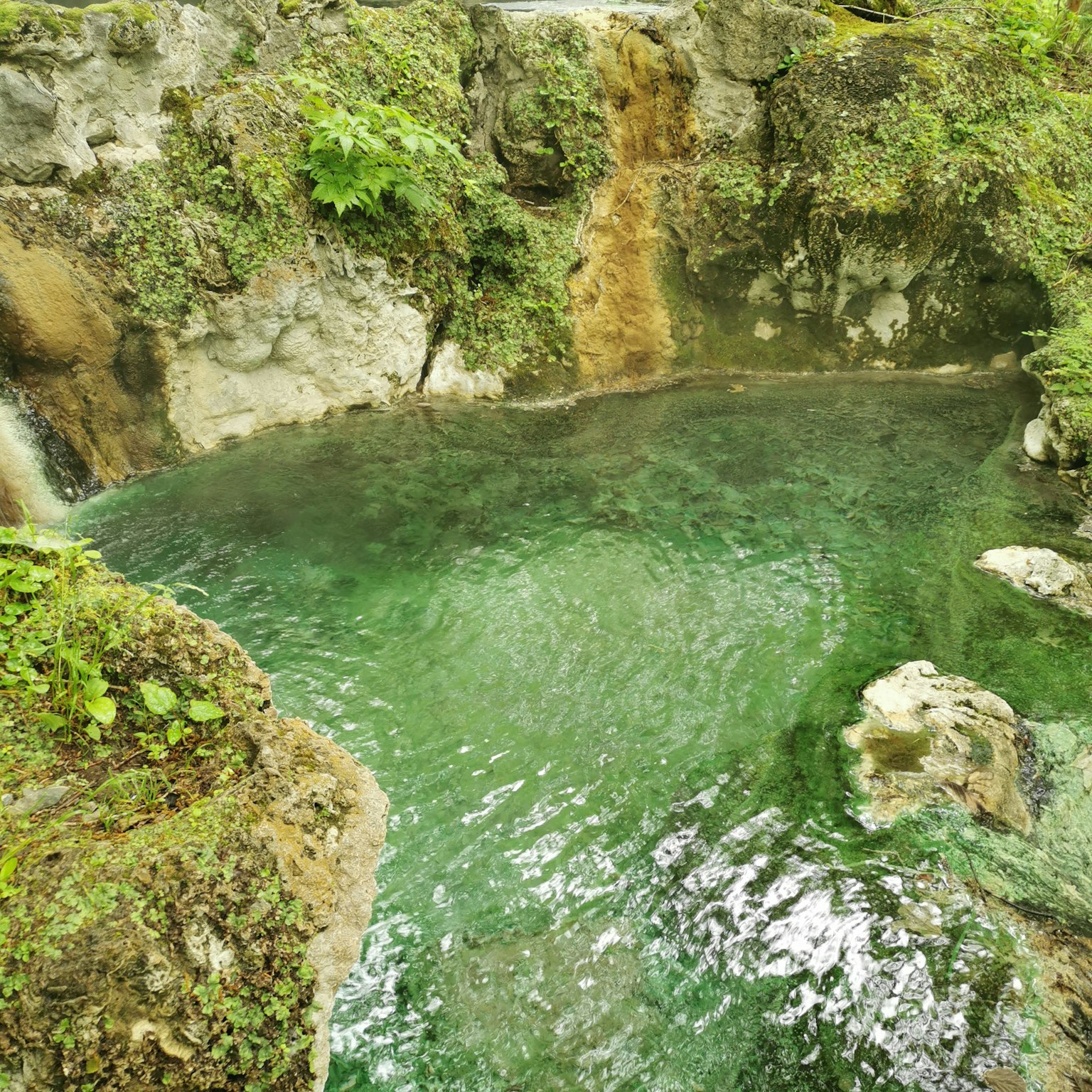 Pemandangan alami dengan air terjun kecil dan kolam air hijau