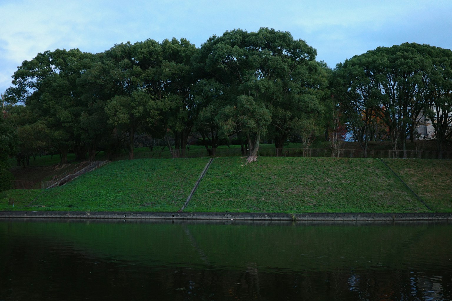 Árboles verdes exuberantes y hierba a lo largo de un río tranquilo