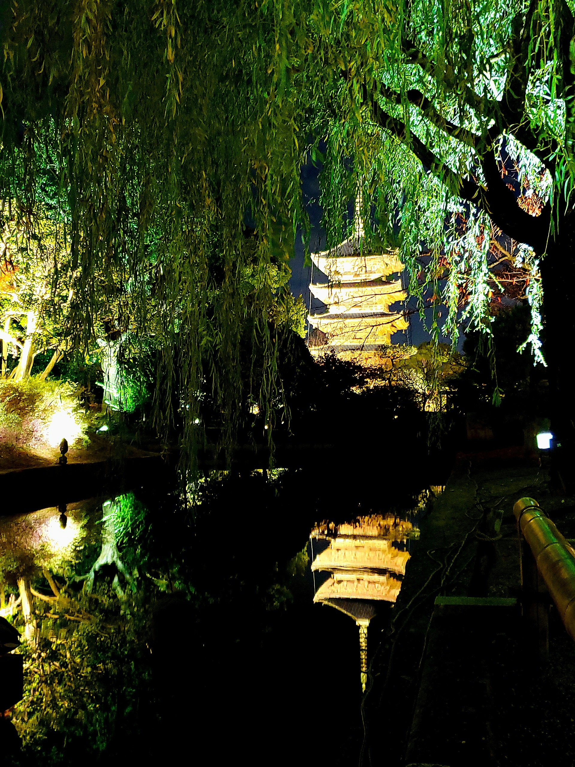 滝のある緑の洞窟で光が差し込む風景