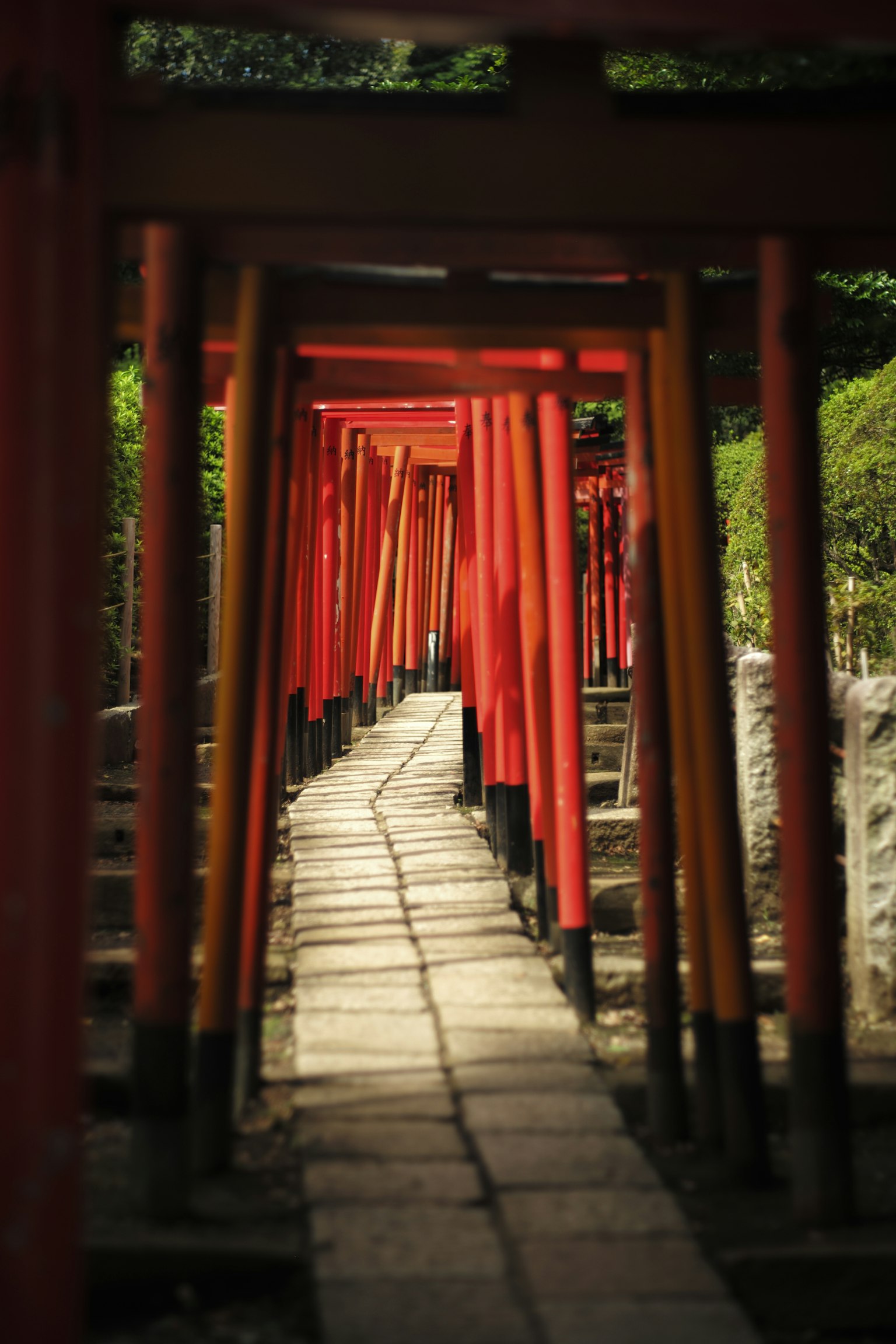 两旁是红色鸟居的道路