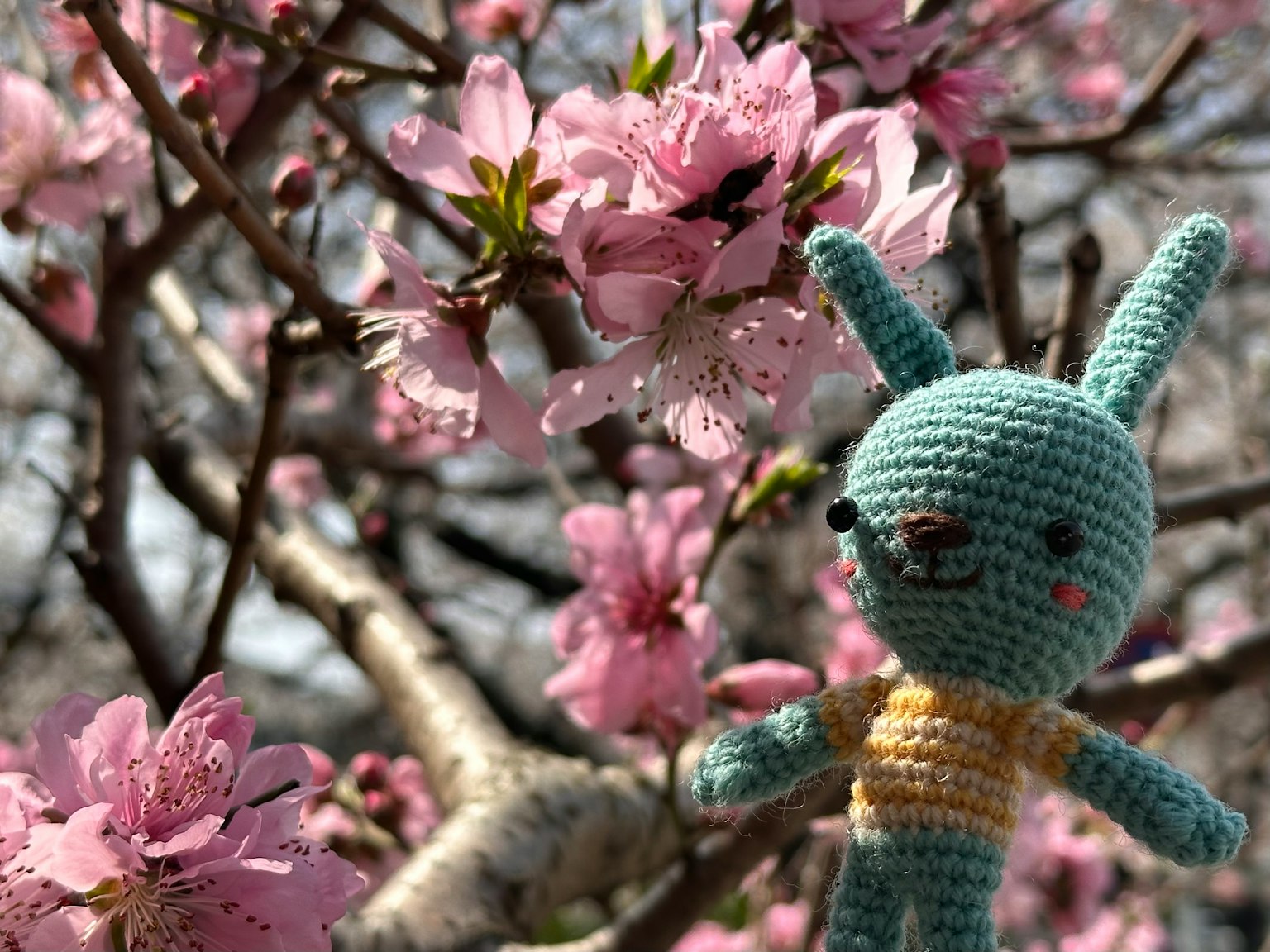 Giocattolo a uncinetto a forma di coniglio davanti ai fiori di ciliegio