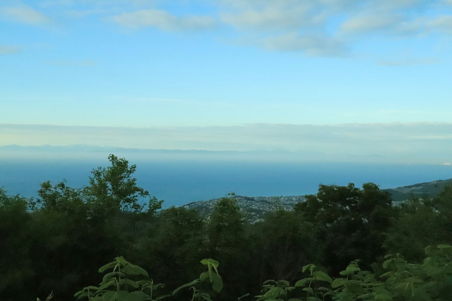 Panoramablick auf den blauen Ozean und den Himmel mit grünen Bäumen im Vordergrund