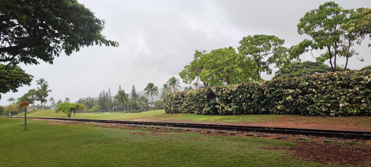 Lanskap taman hijau subur dengan rel kereta