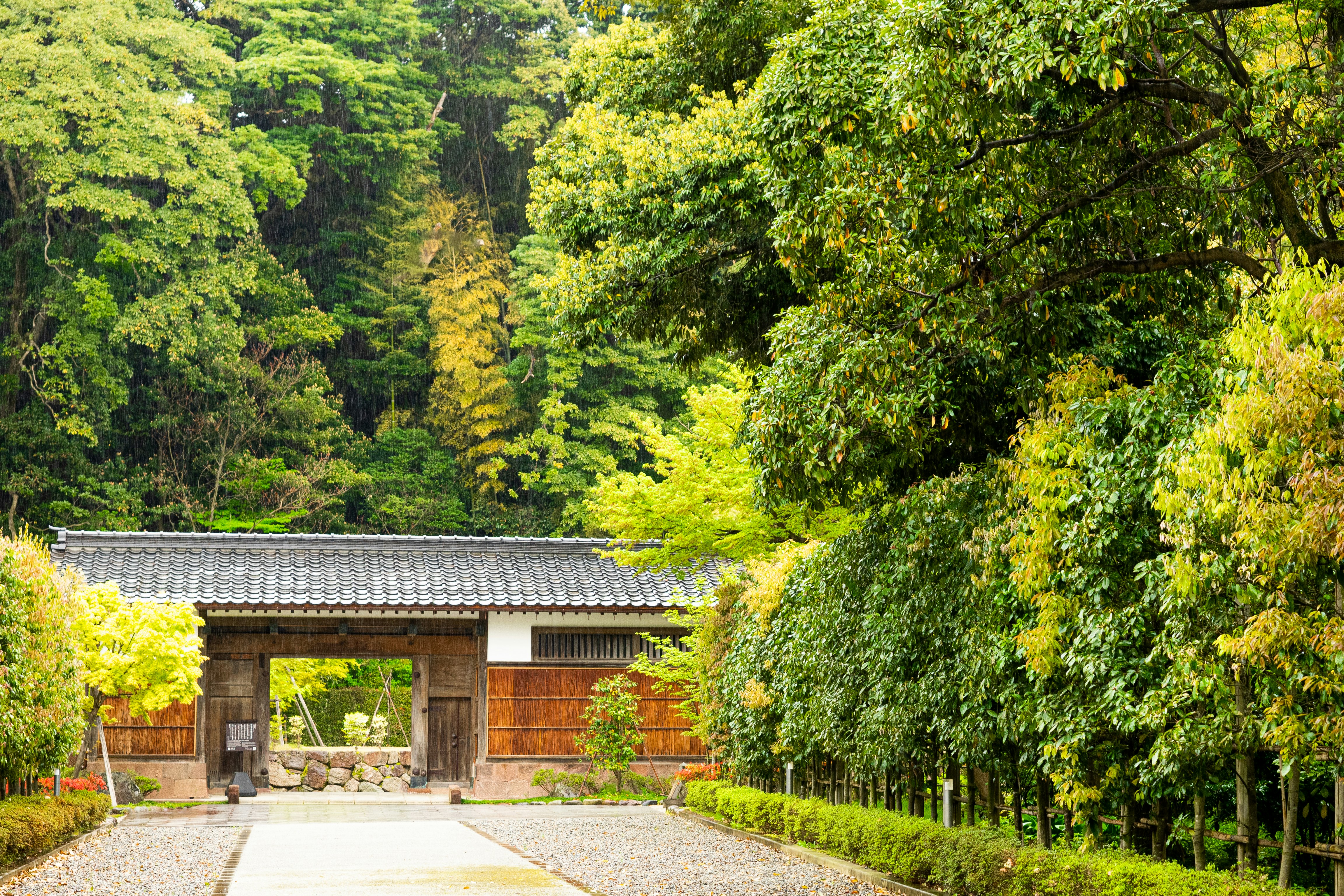 Traditional Japanese gate at the entrance of a lush green garden