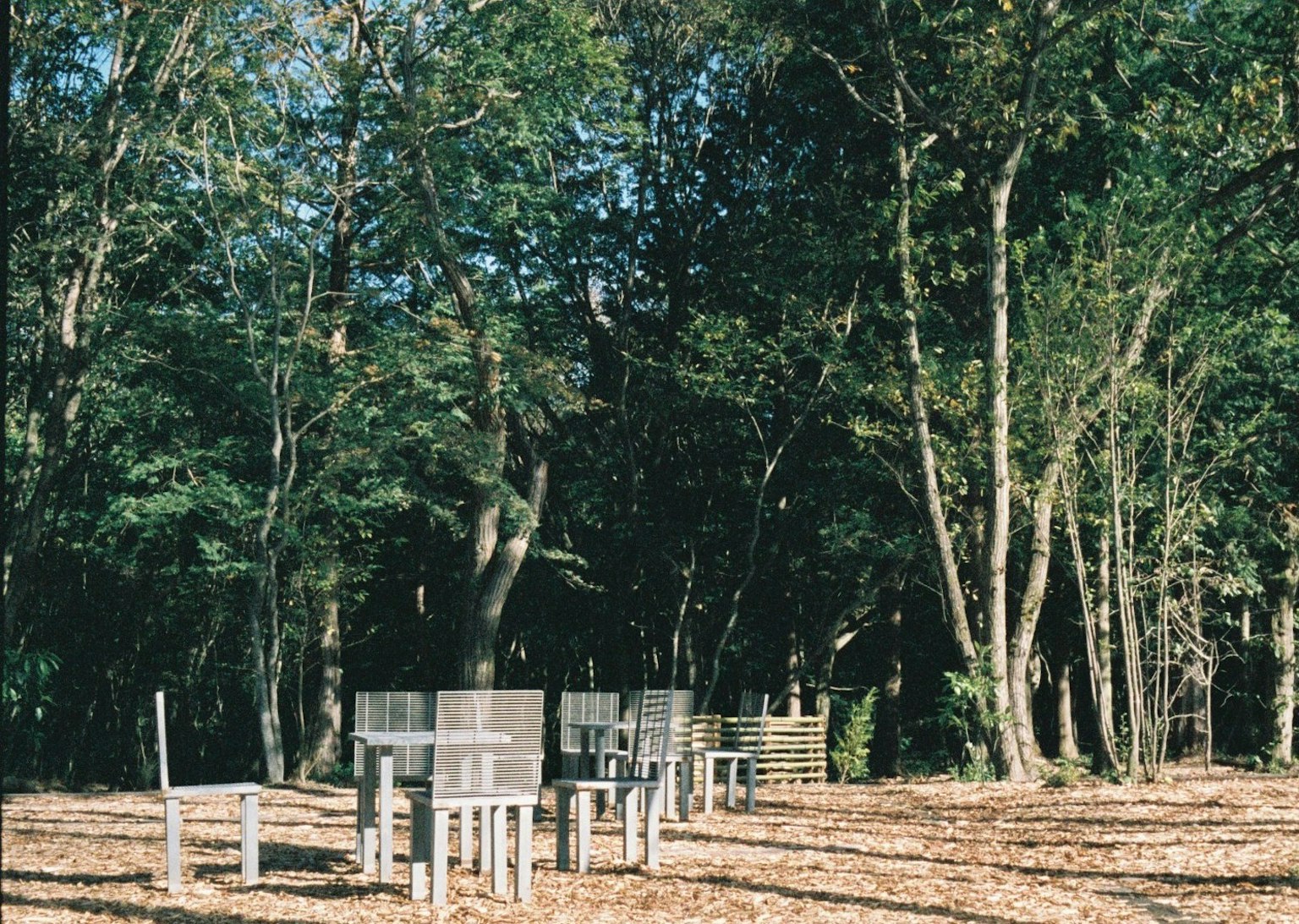Transparent chairs and tables arranged in a clearing surrounded by trees