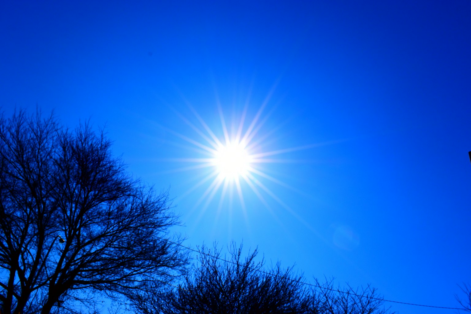 Soleil brillant dans un ciel bleu avec des arbres en silhouette