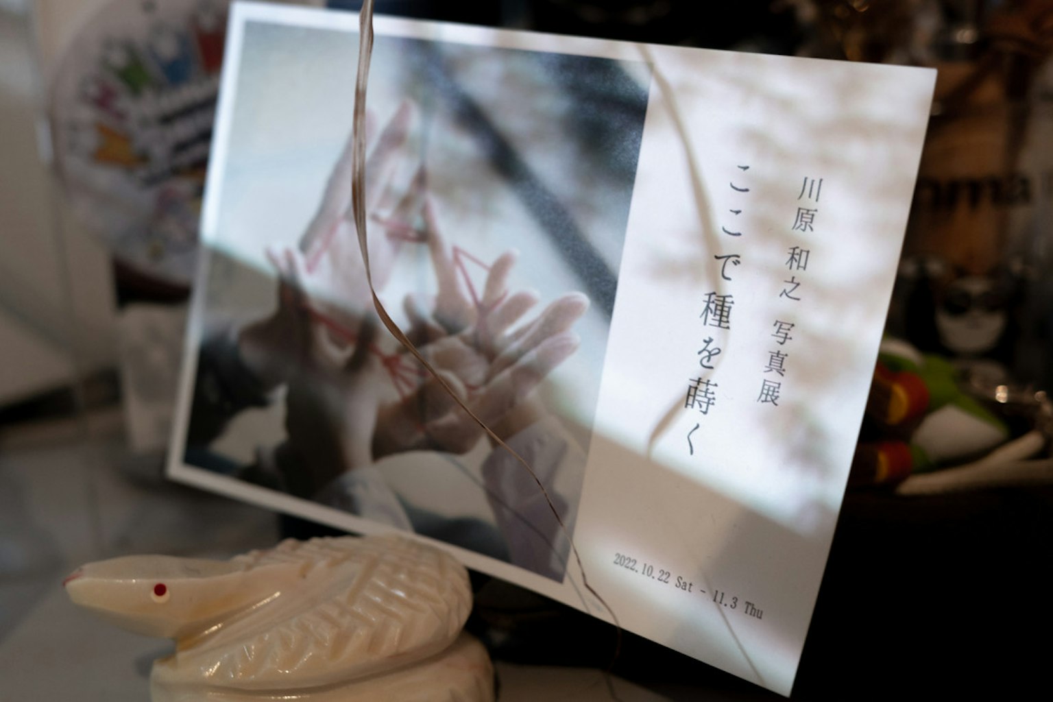A card displaying a beautiful photo of a flower illuminated by light