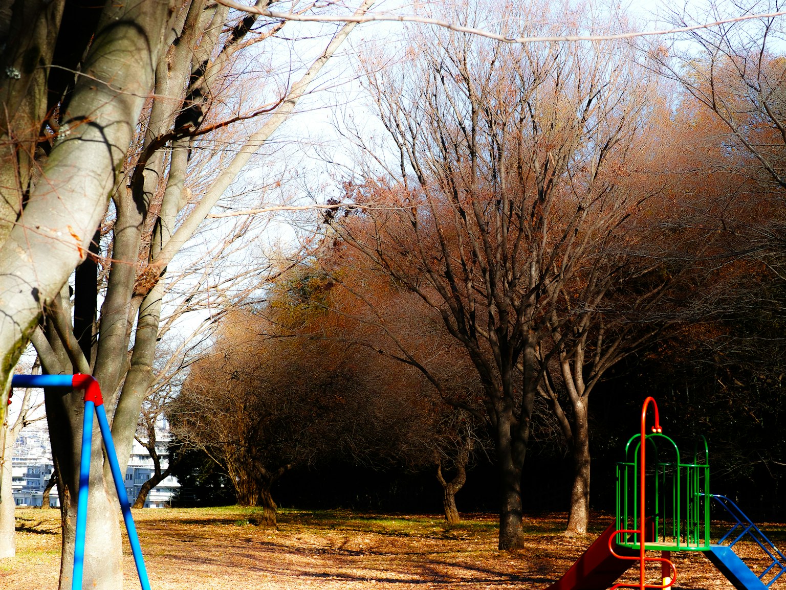 photo-UAEf4GMZm70B8obGtuMG-image