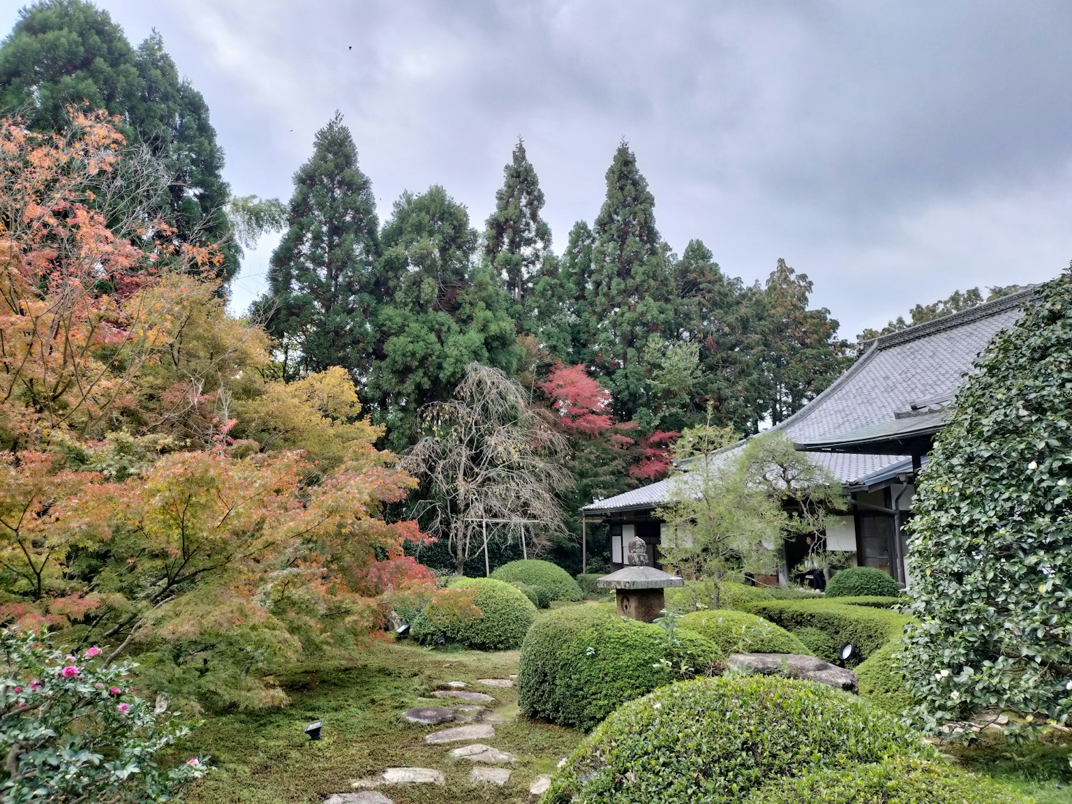 Beautiful Japanese garden scene with green trees and autumn foliage stone path and part of a tea house