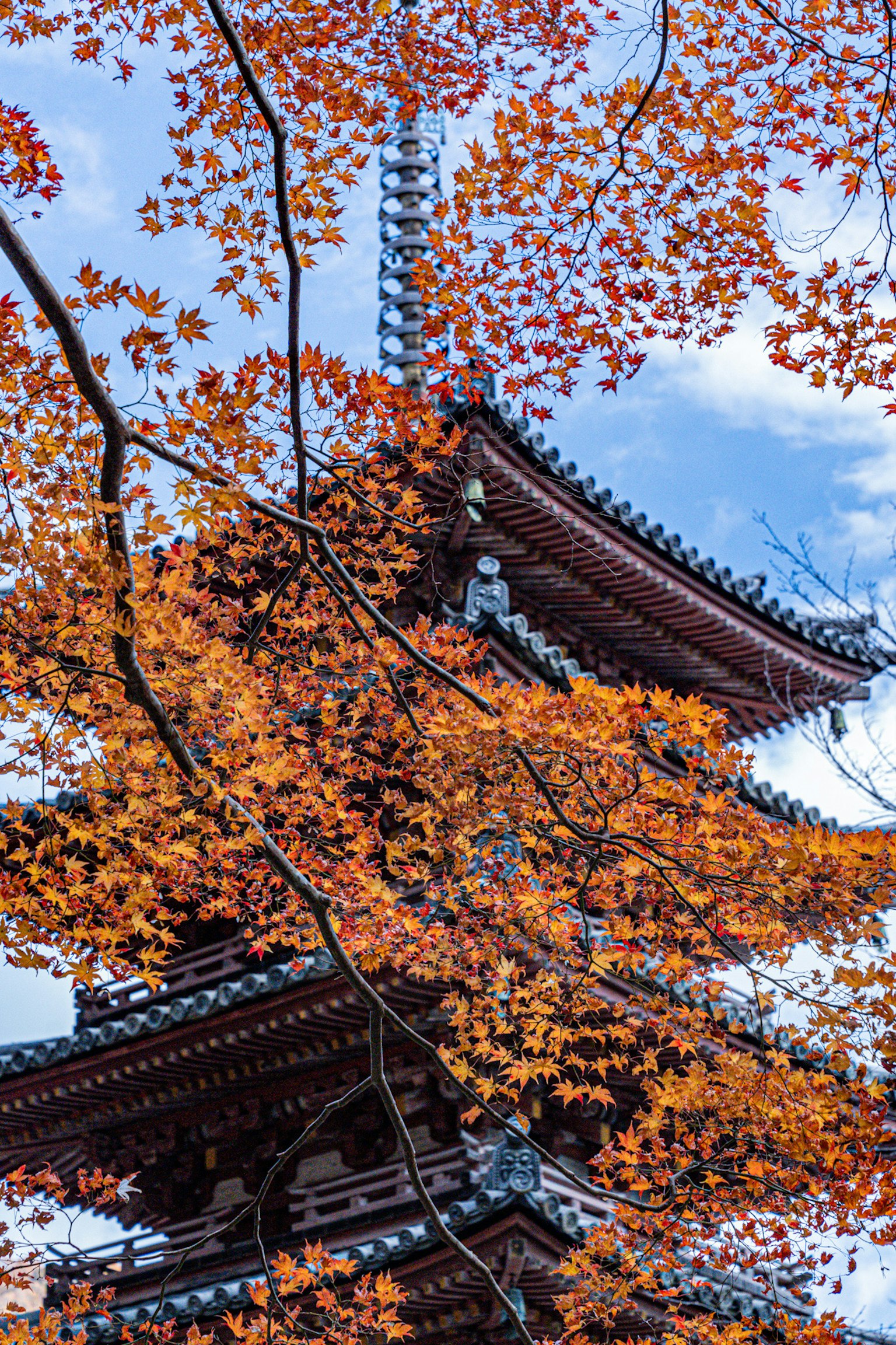 Pagode à cinq étages entourée de feuilles d'automne et ciel bleu
