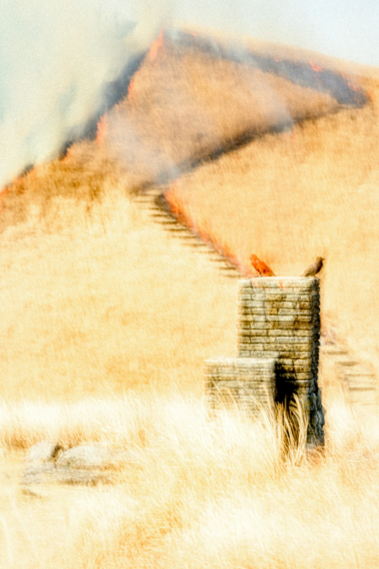 乾燥した草原に立つ石の構造物と背景の山