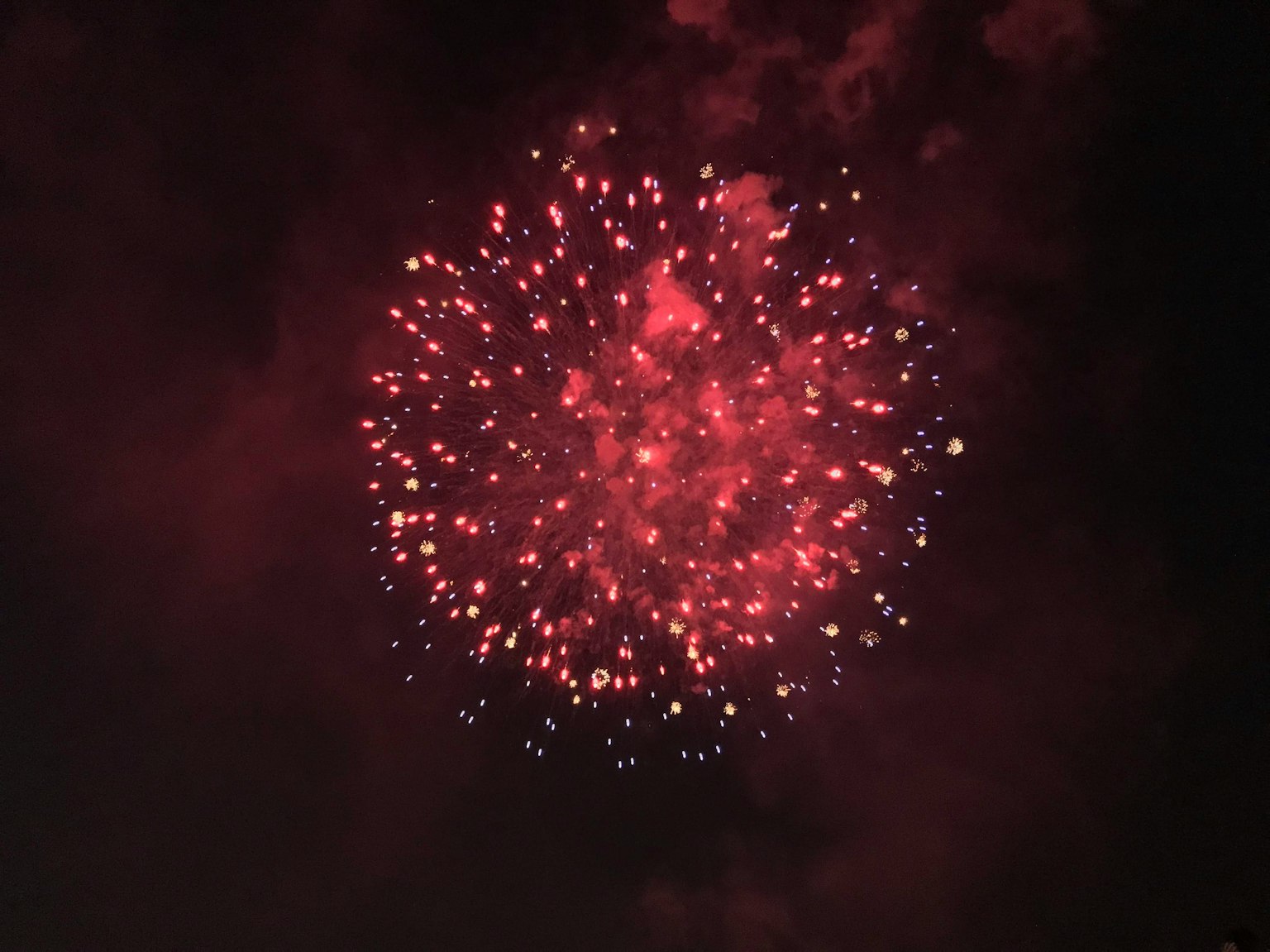 夜空中绽放的美丽红色烟花