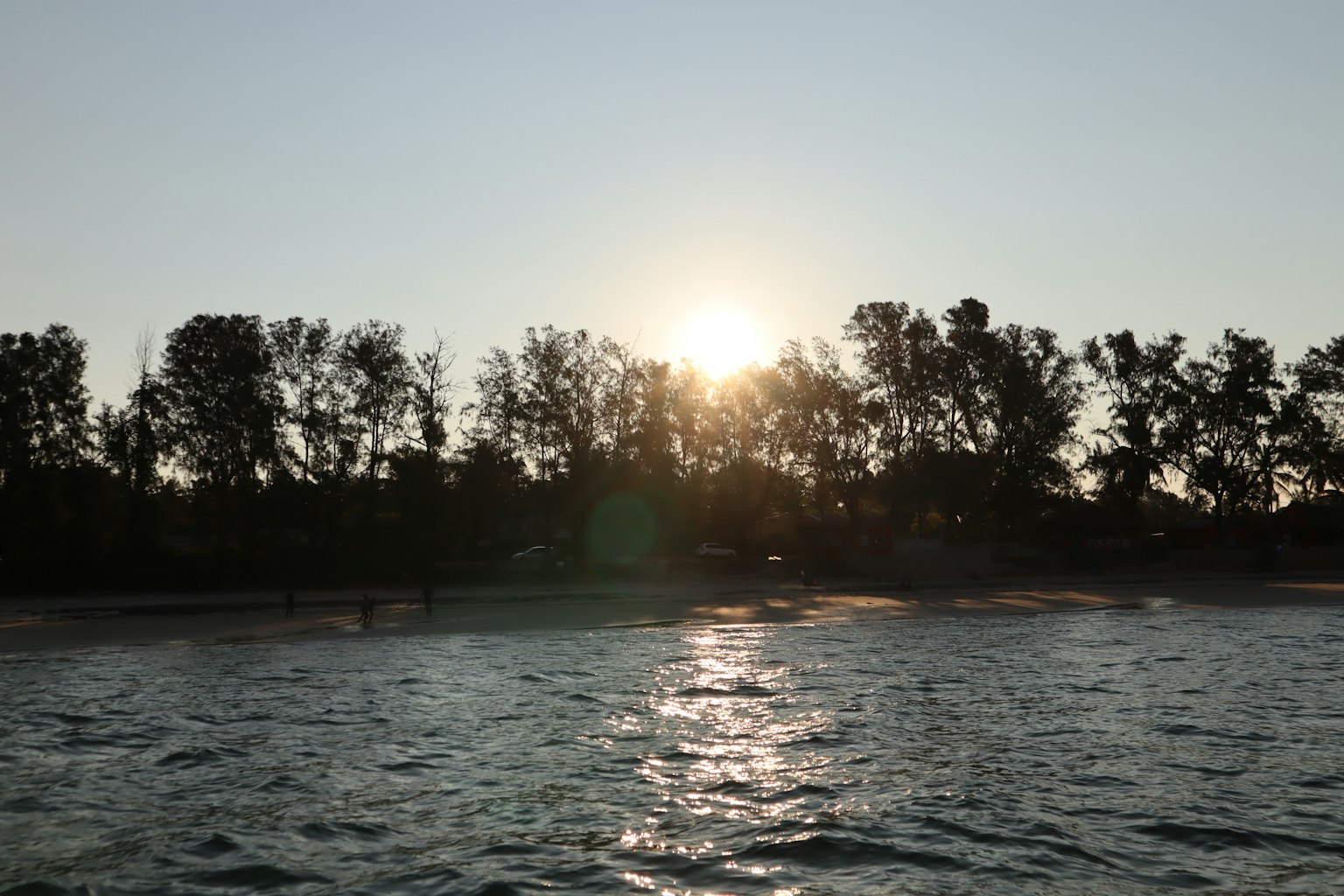Silhouette of trees against the sun over the sea