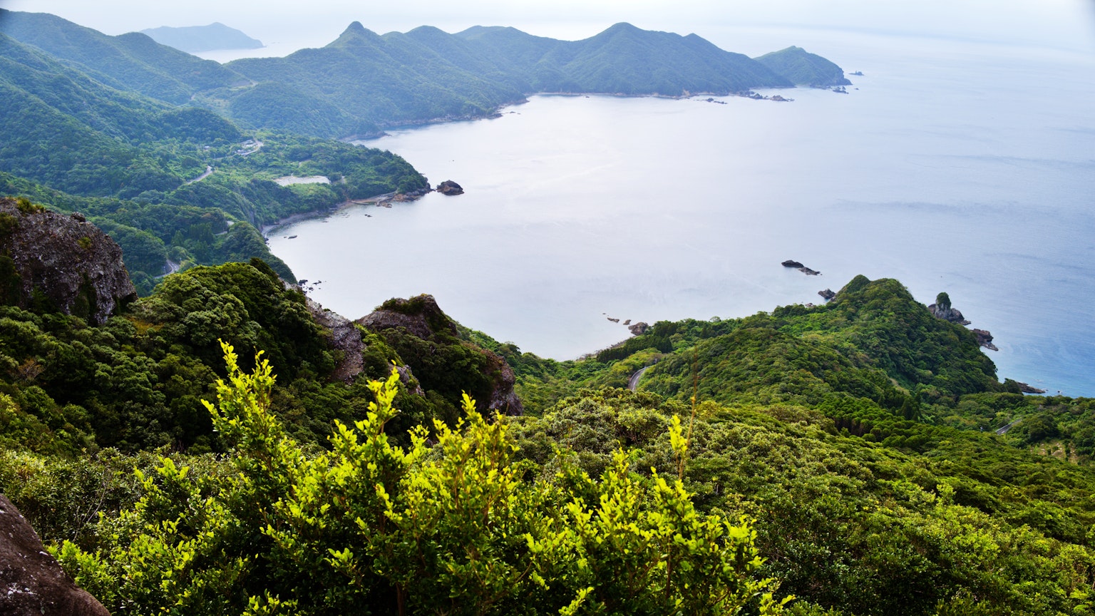 Scenic view of a coastline with lush green hills