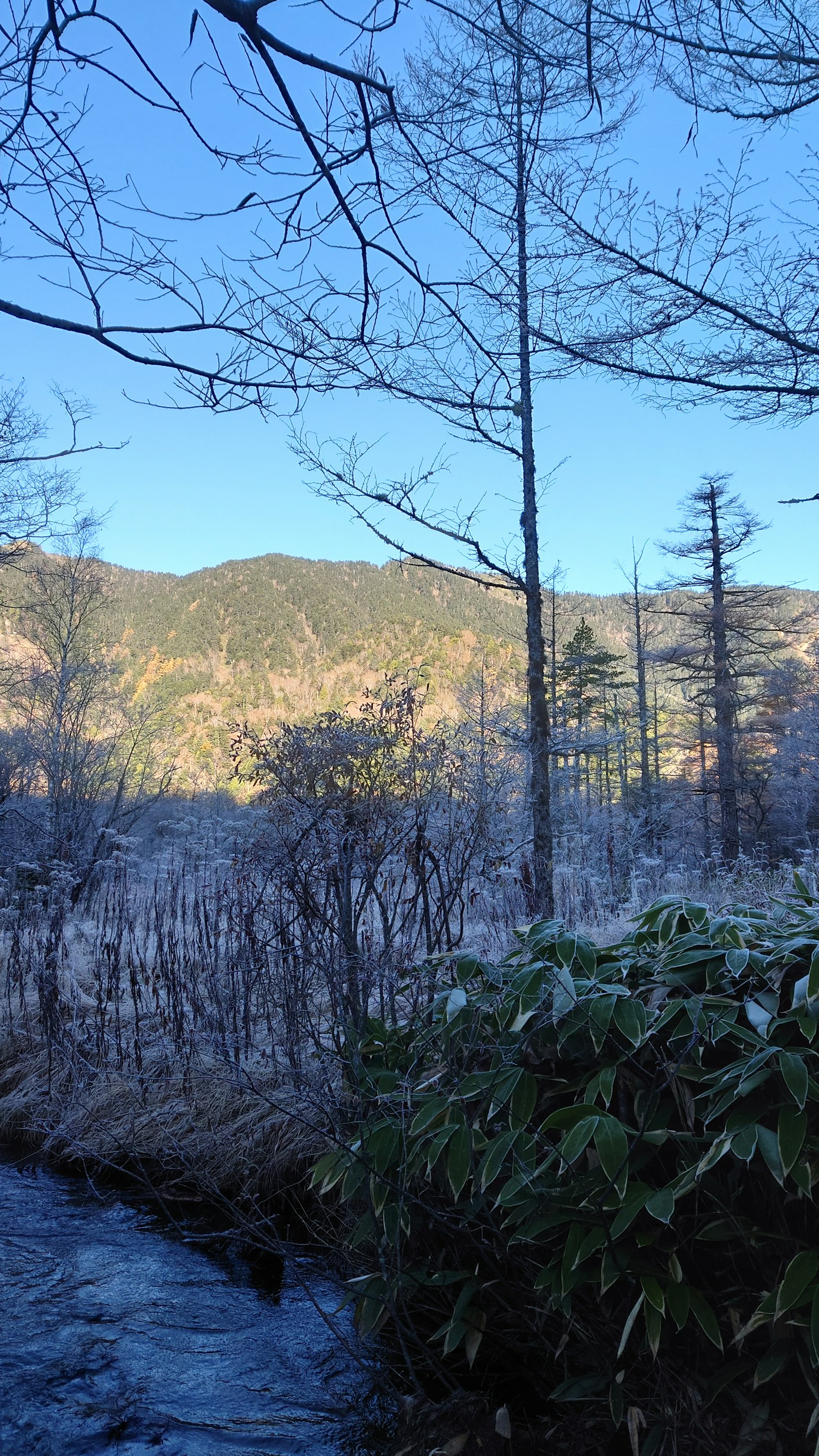 Winter landscape with blue sky and mountains in the background