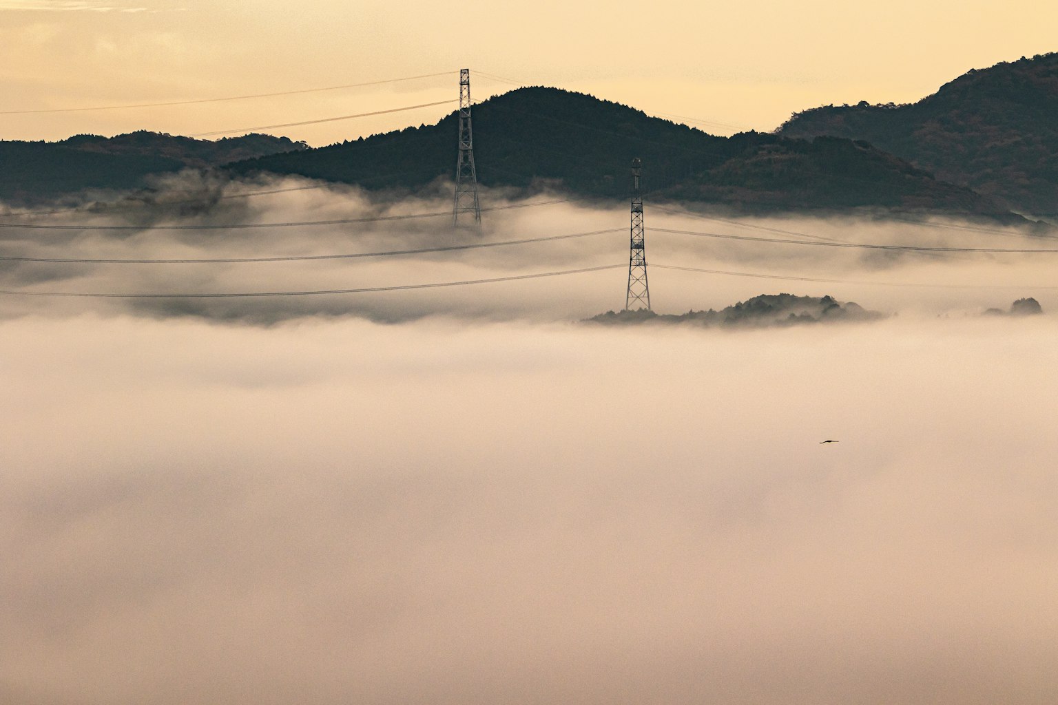 被霧籠罩的山脈和電線的風景