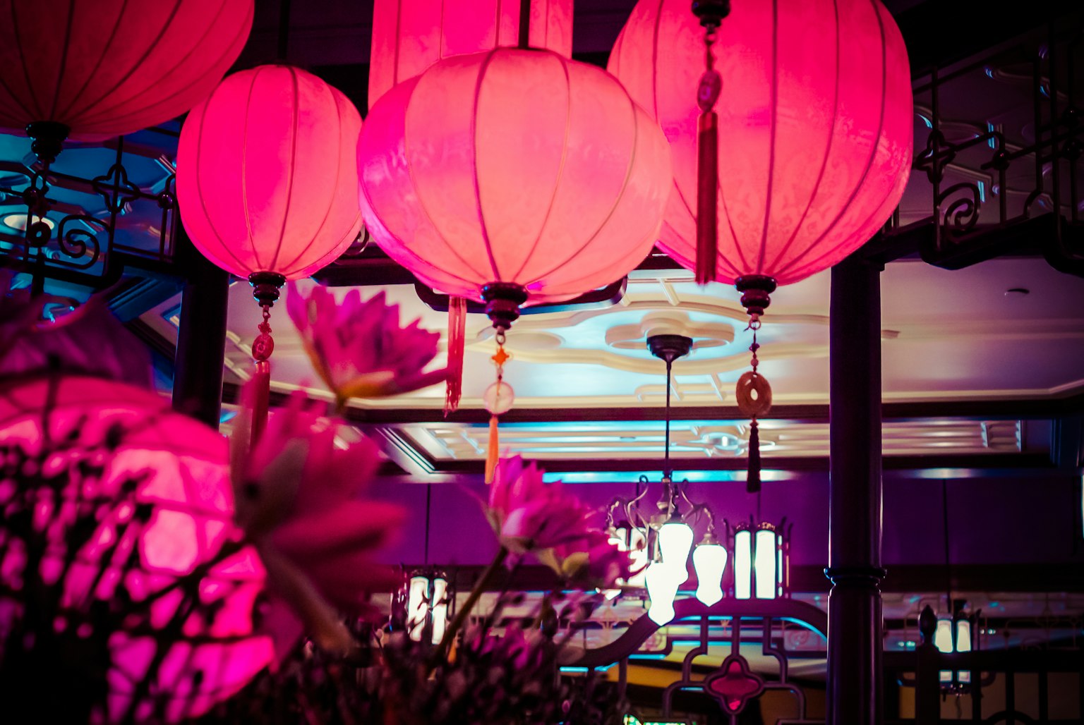 鲜艳的粉色灯笼悬挂在室内 前景的花朵营造出梦幻的氛围