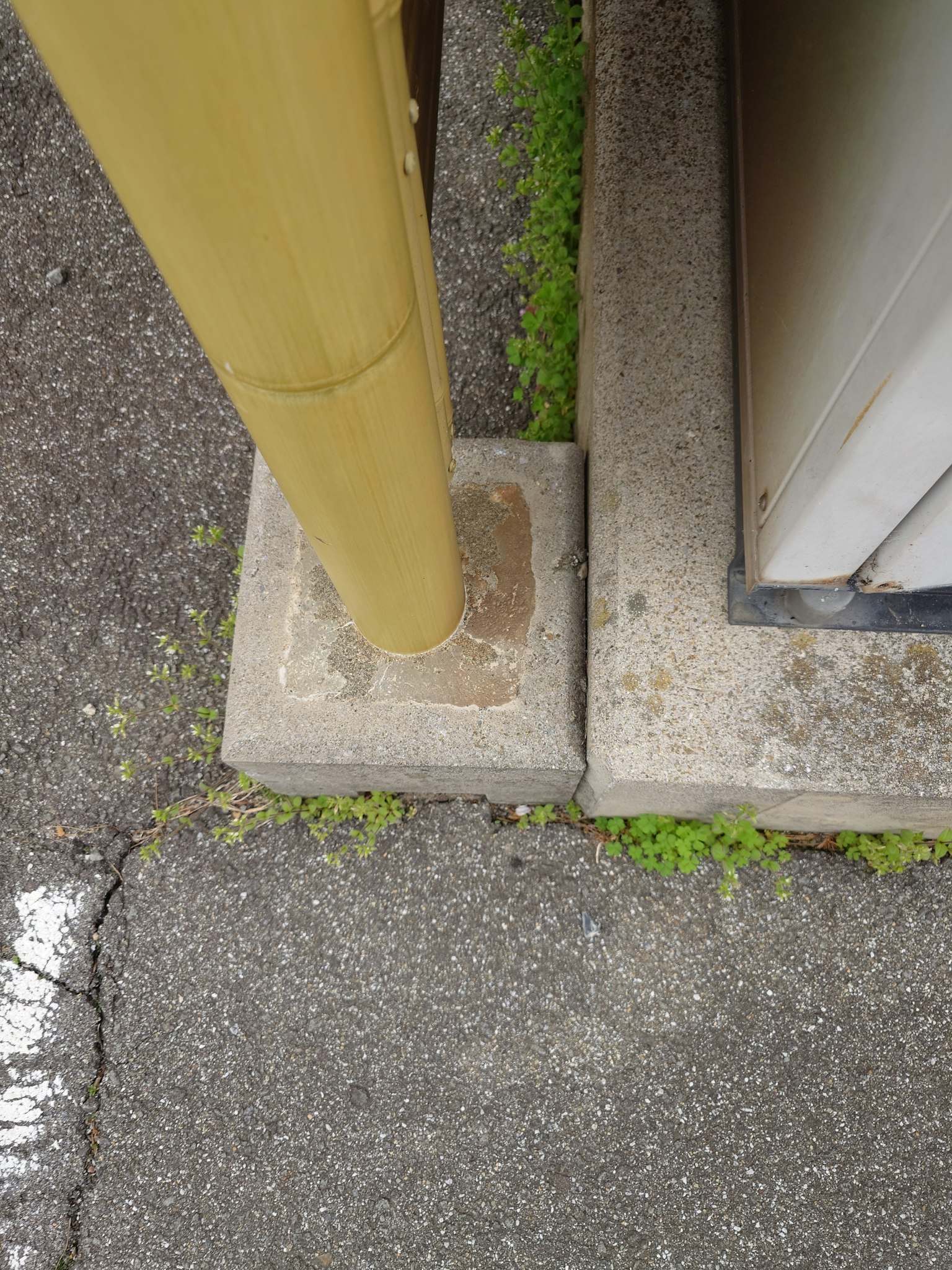 Imagen que muestra un poste amarillo apoyado sobre una base de concreto con hierba visible