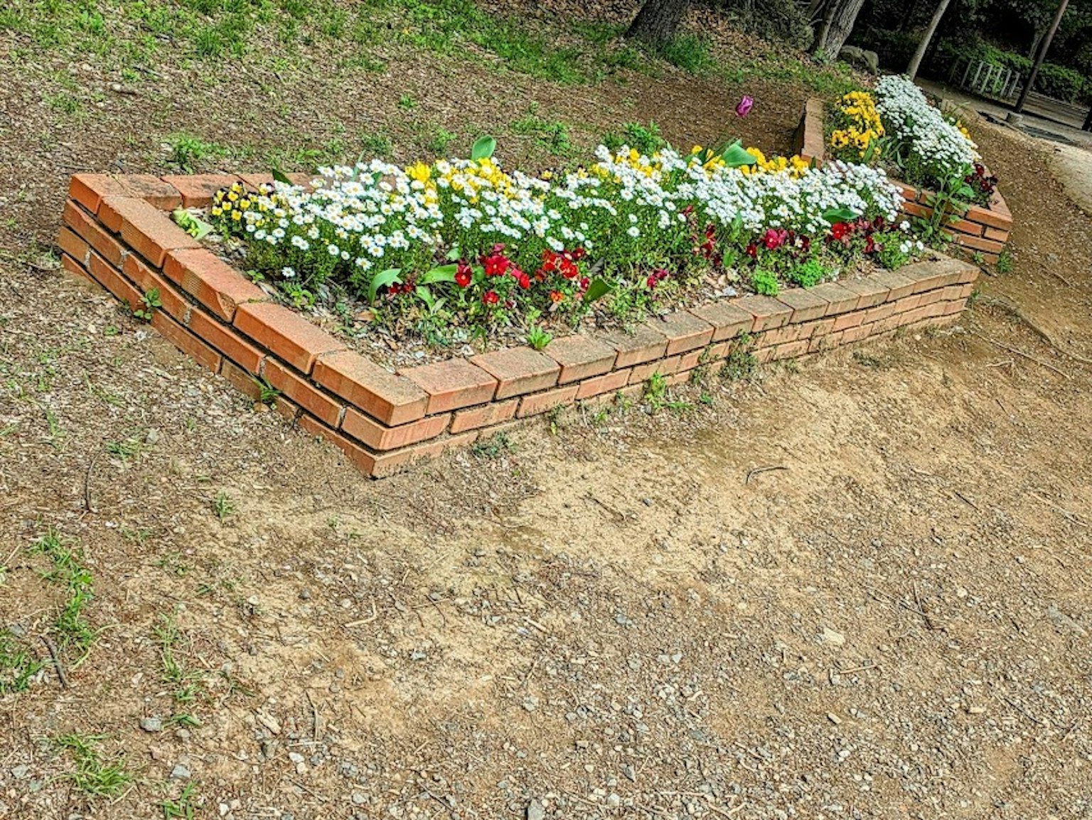 Aiola in mattoni con fiori colorati e terreno circostante