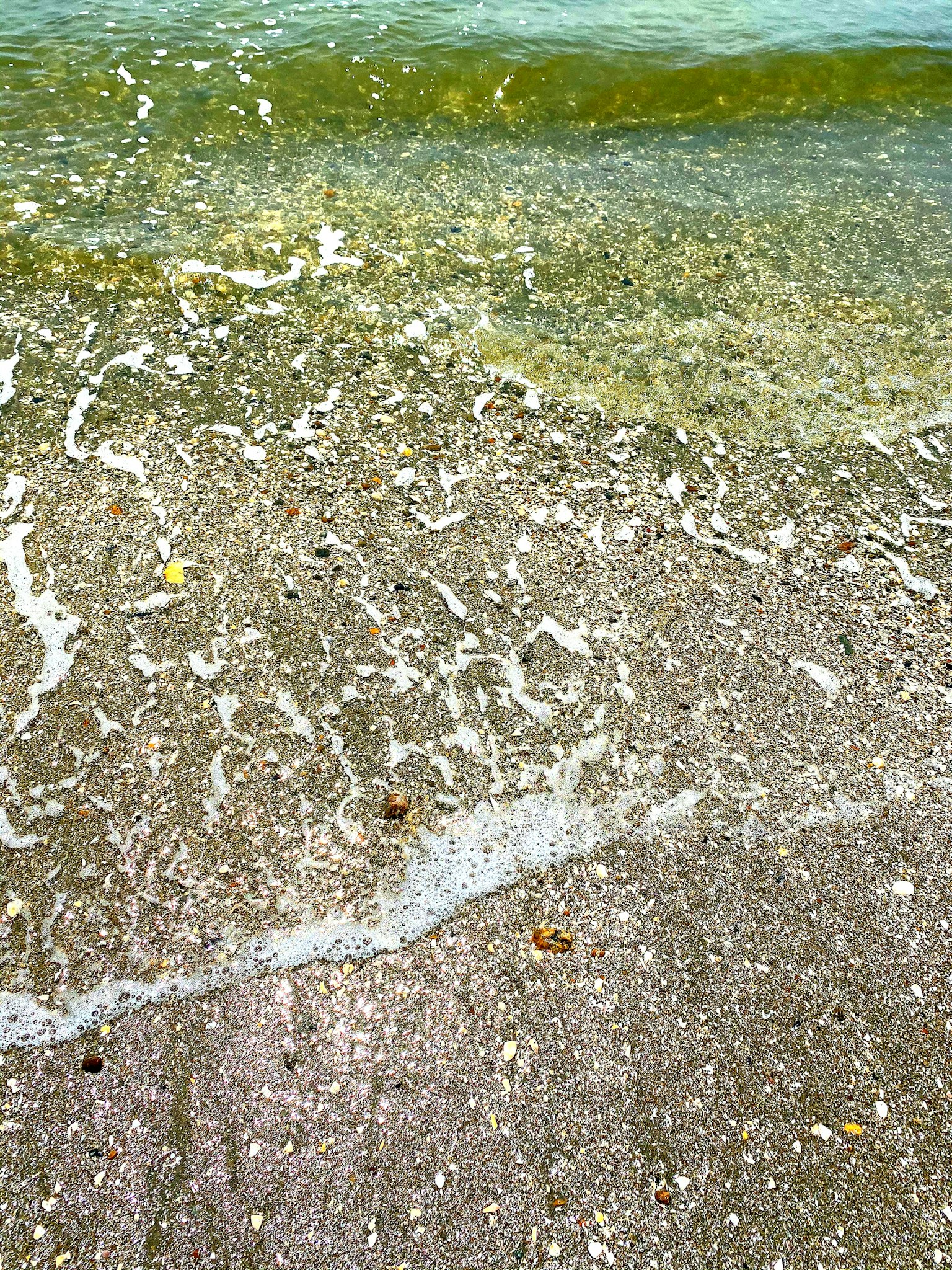Bild zeigt einen Sandstrand mit sanften Wellen und Meerschaum