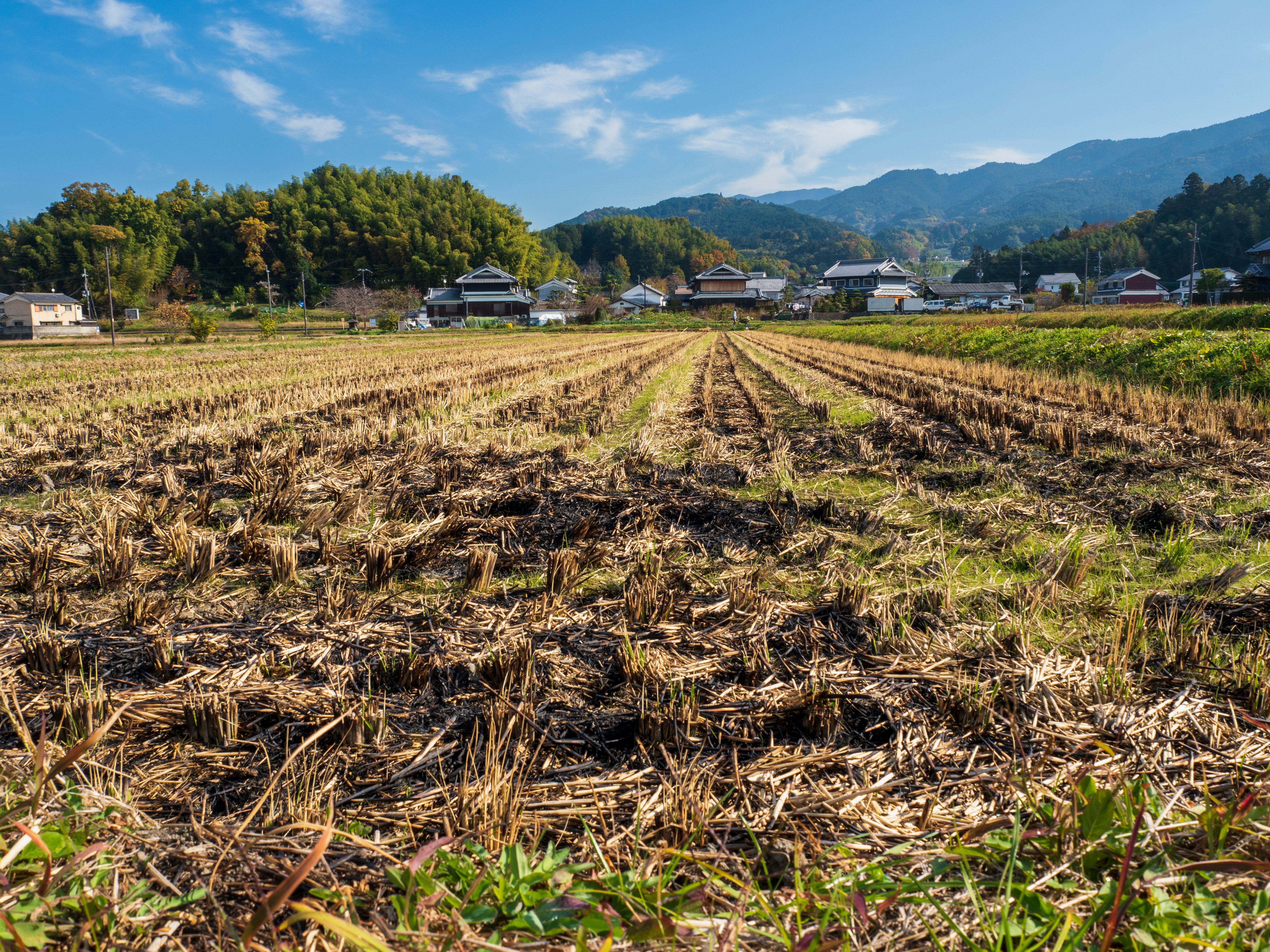 远处群山下的收获后农田景象