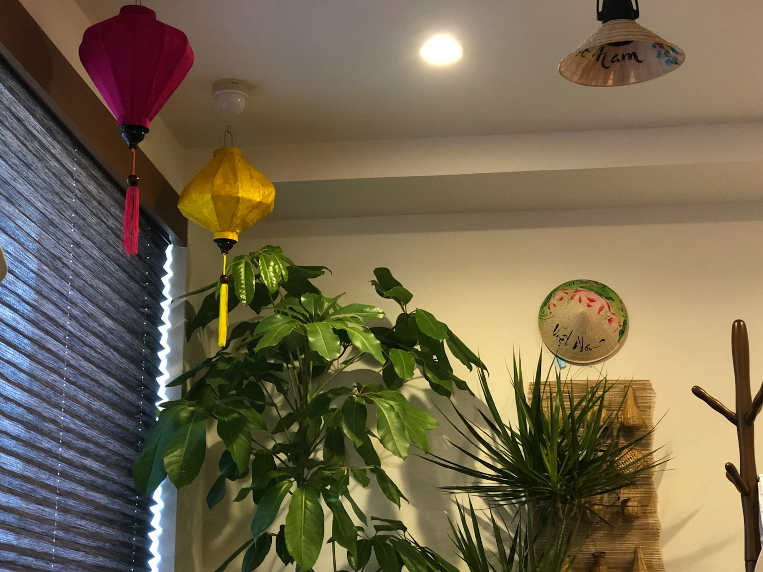 Interior scene with colorful lanterns and indoor plants